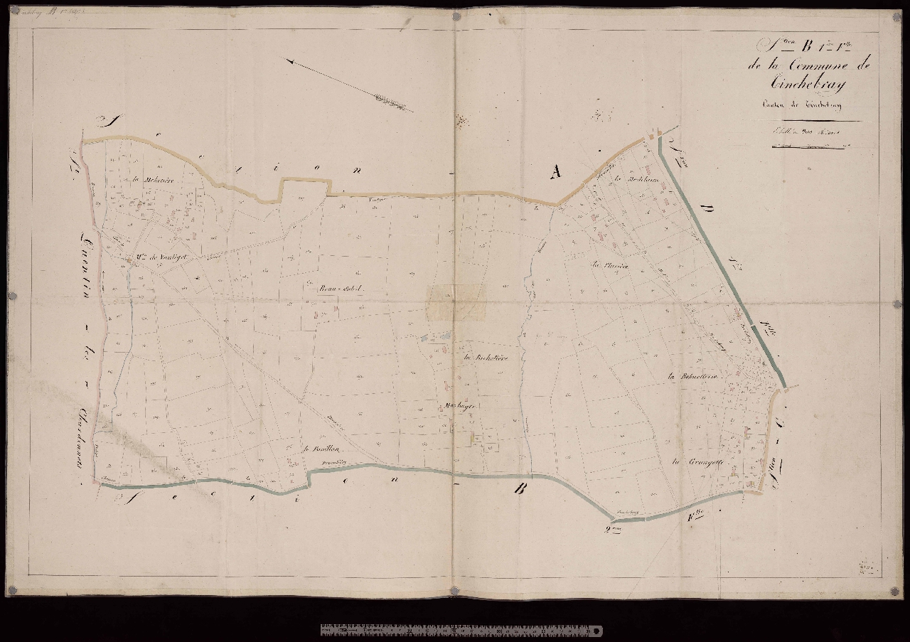 Section B1