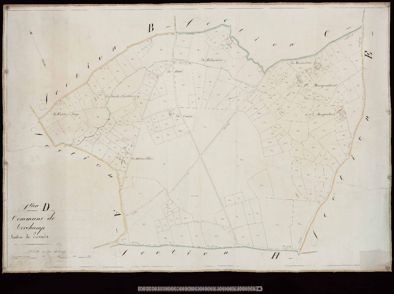 Section D