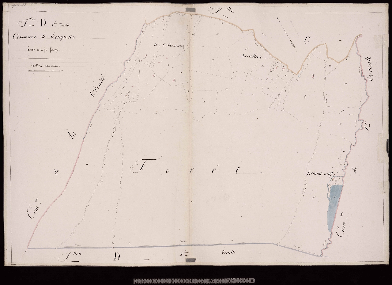 Section D1