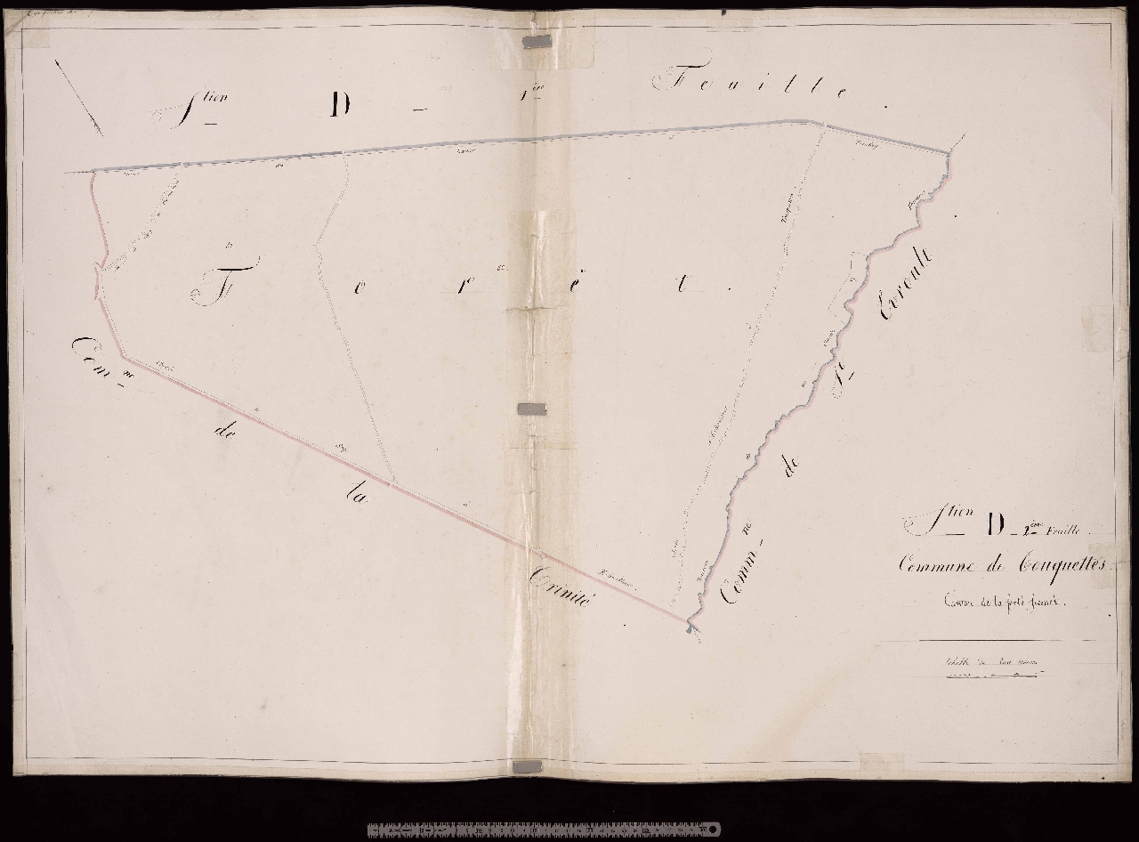 Section D2