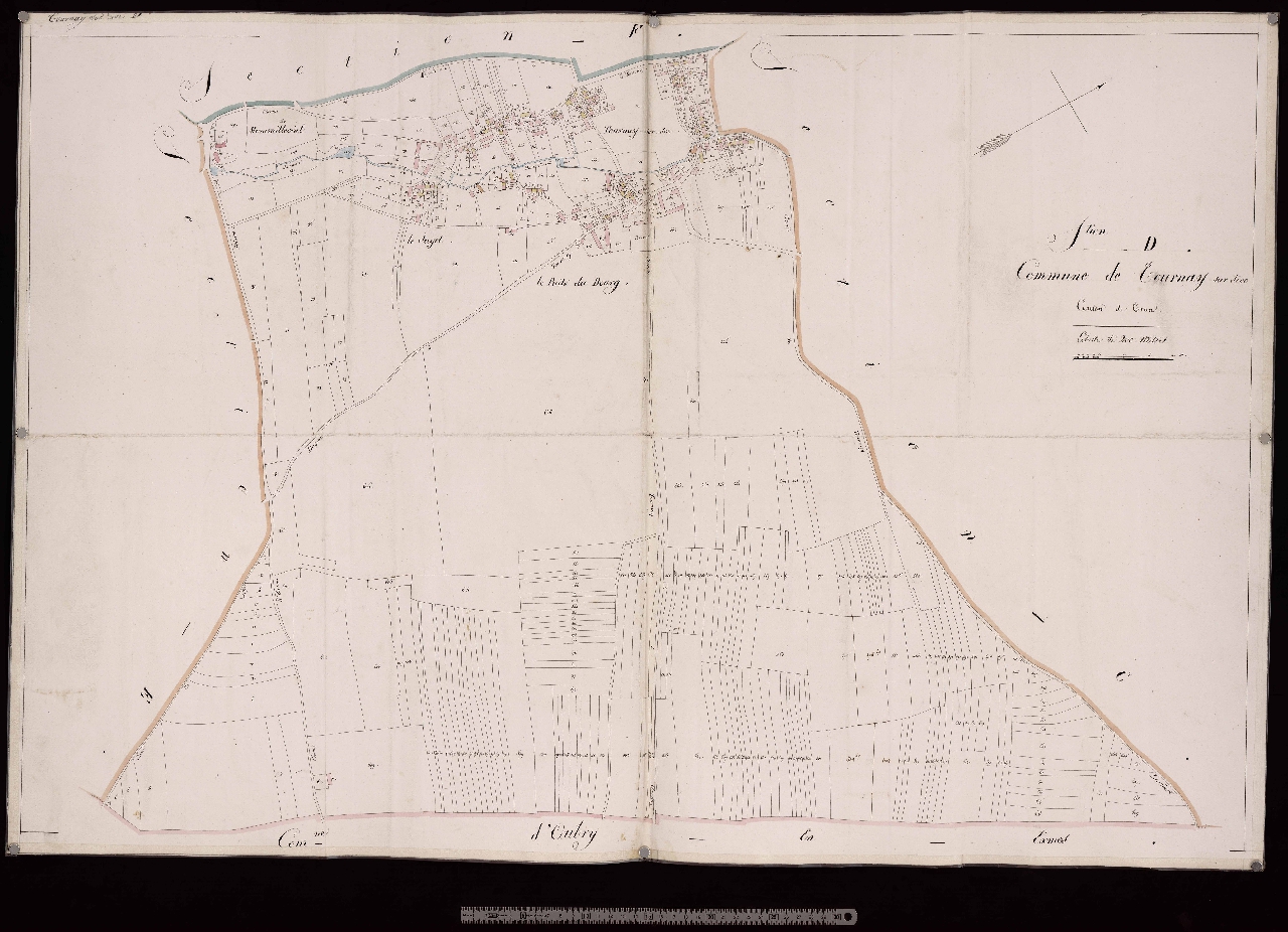 Section D