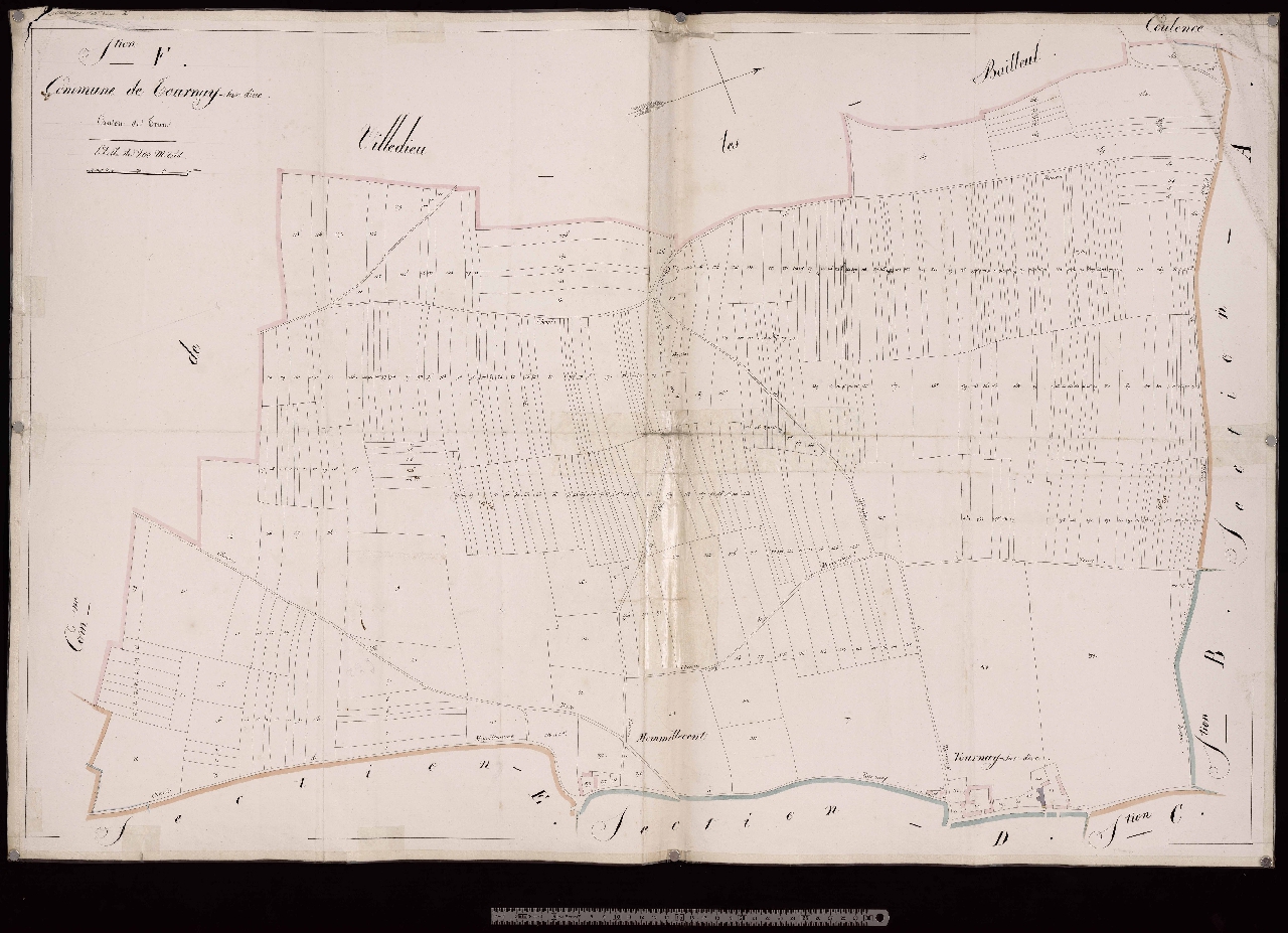 Section F