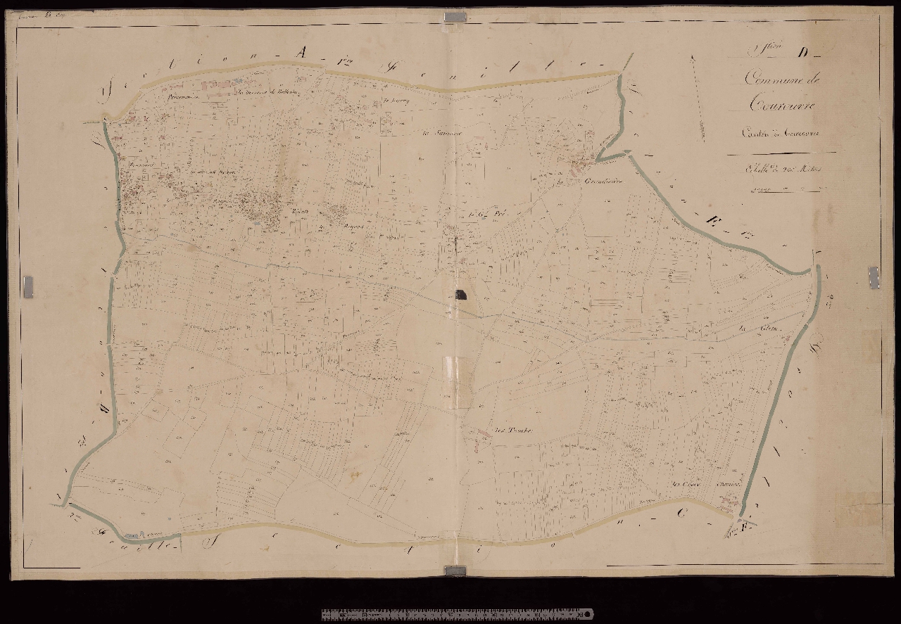 Section D