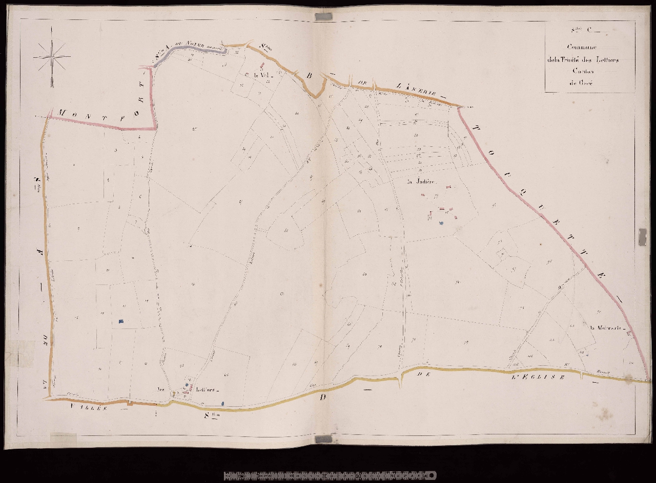 Section C