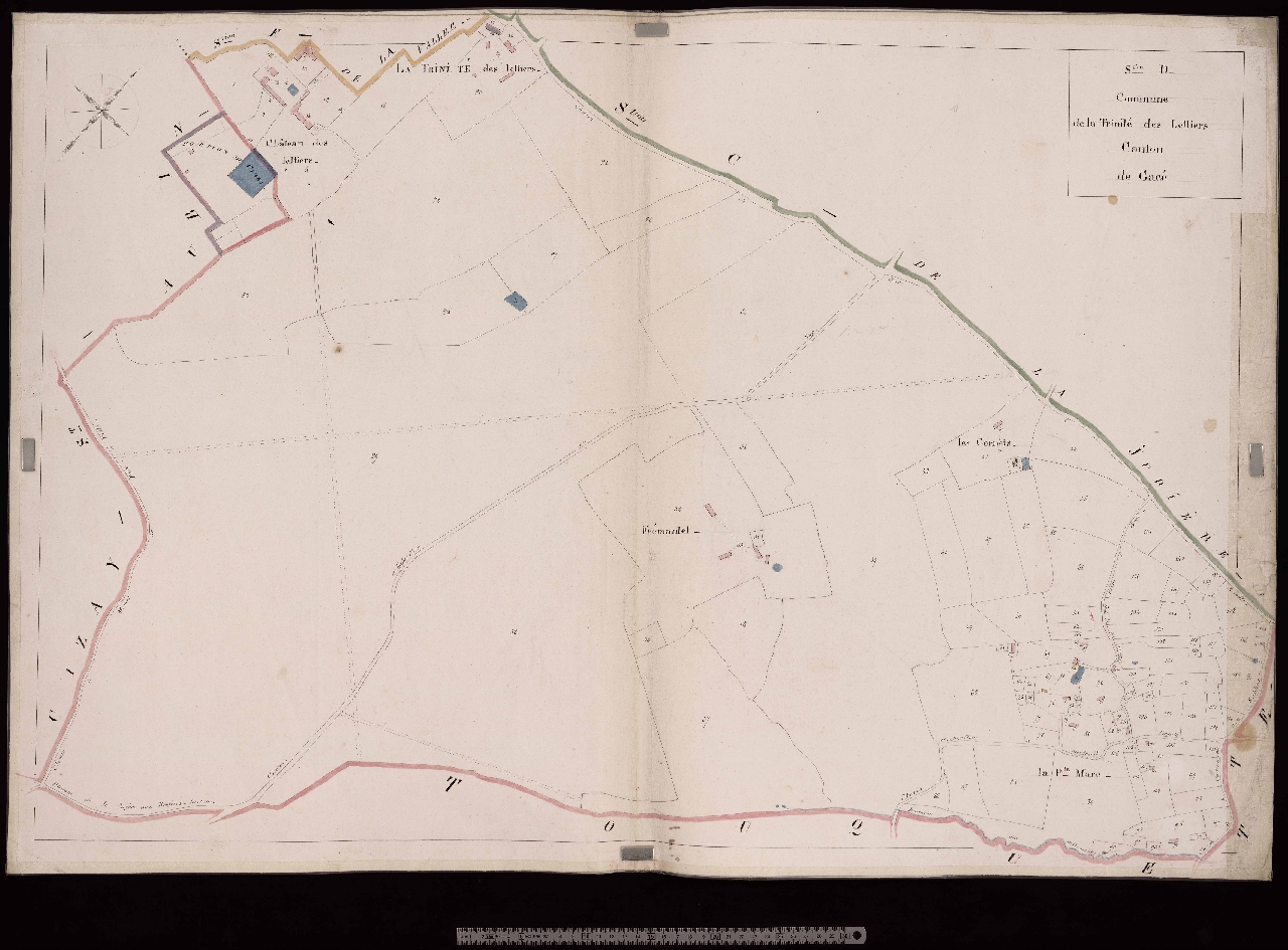 Section D