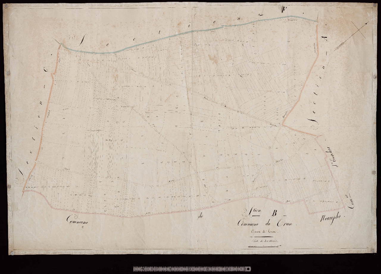 Section B