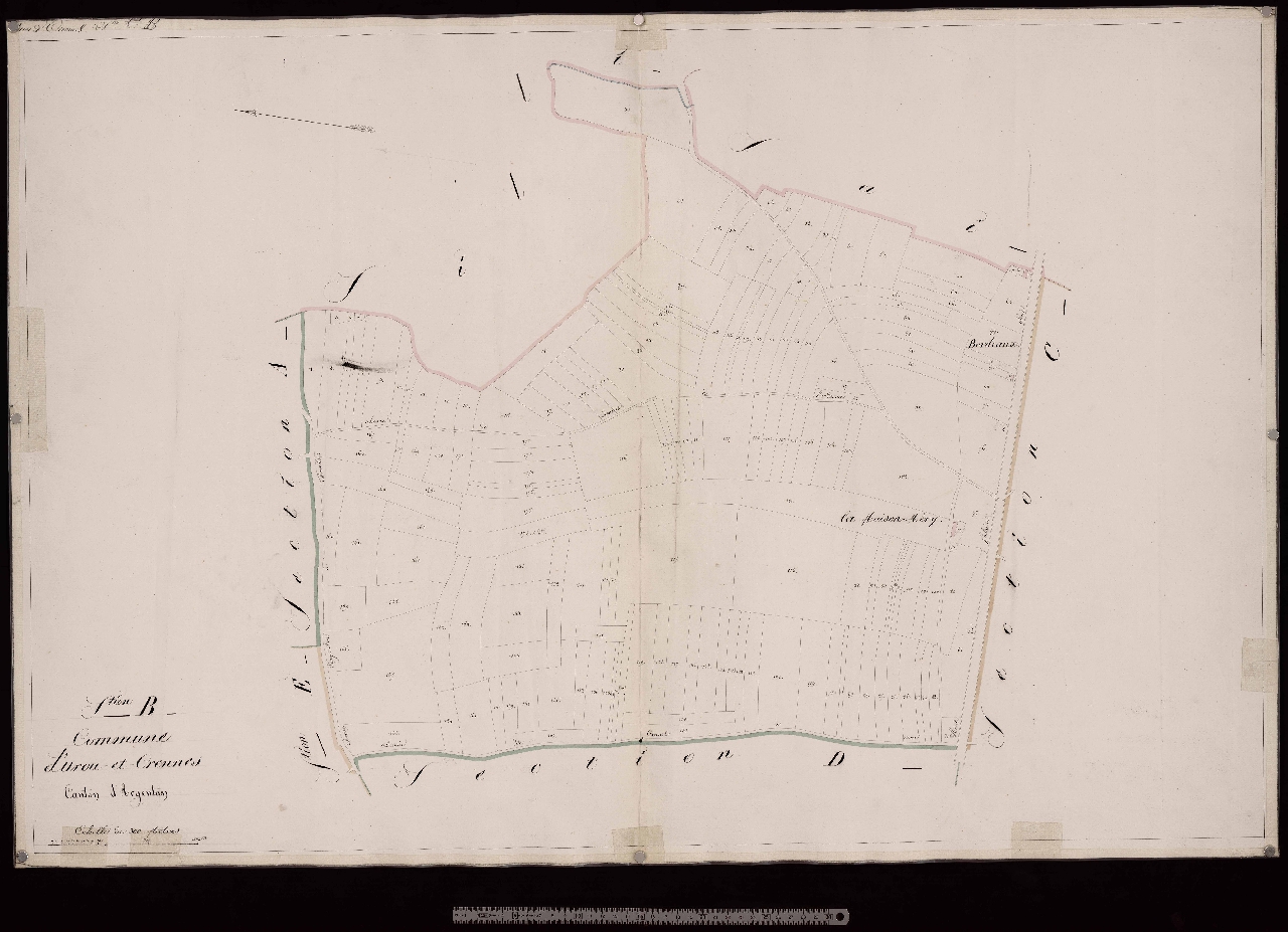 Section B