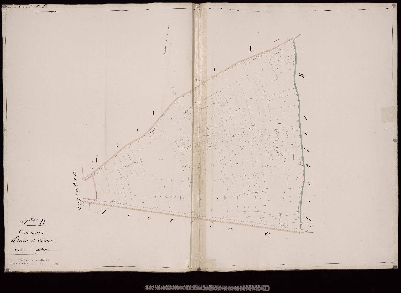 Section D