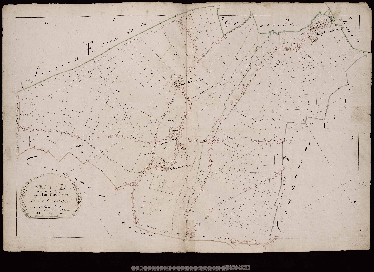 Section D