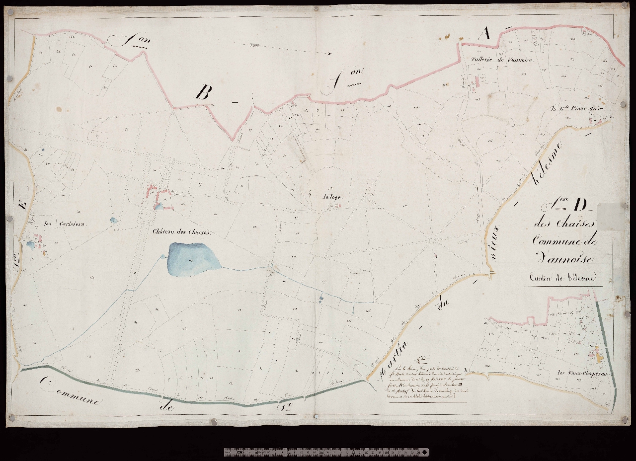 Section D