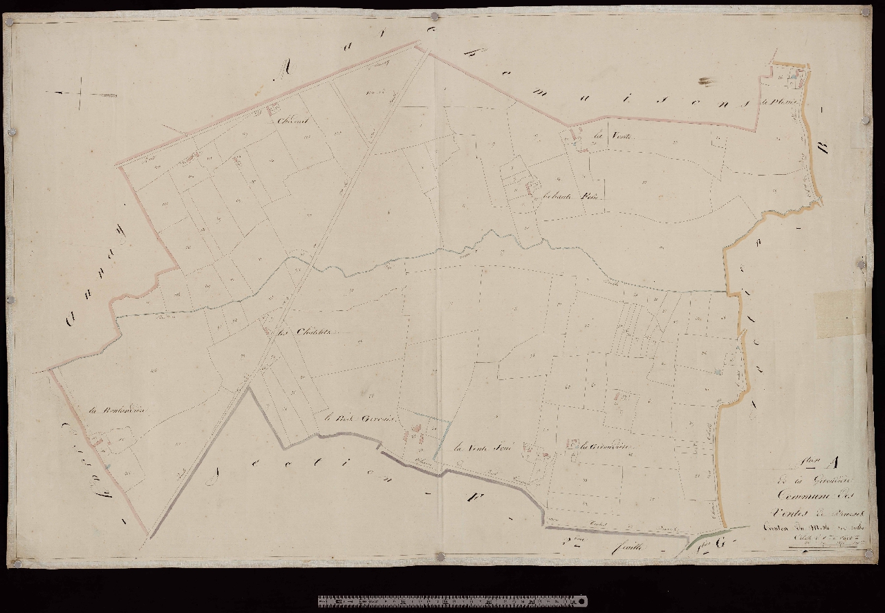 Section A