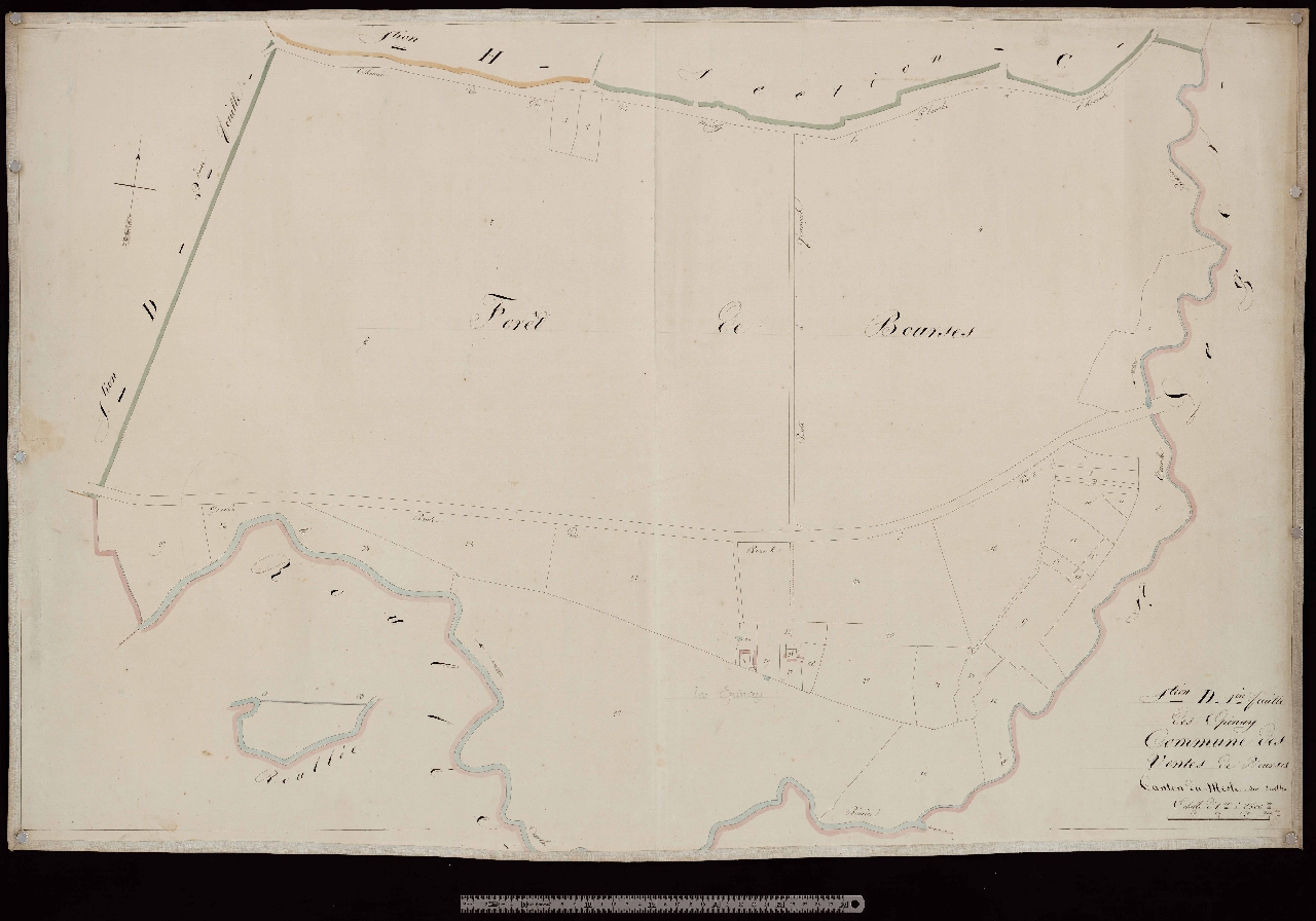 Section D1