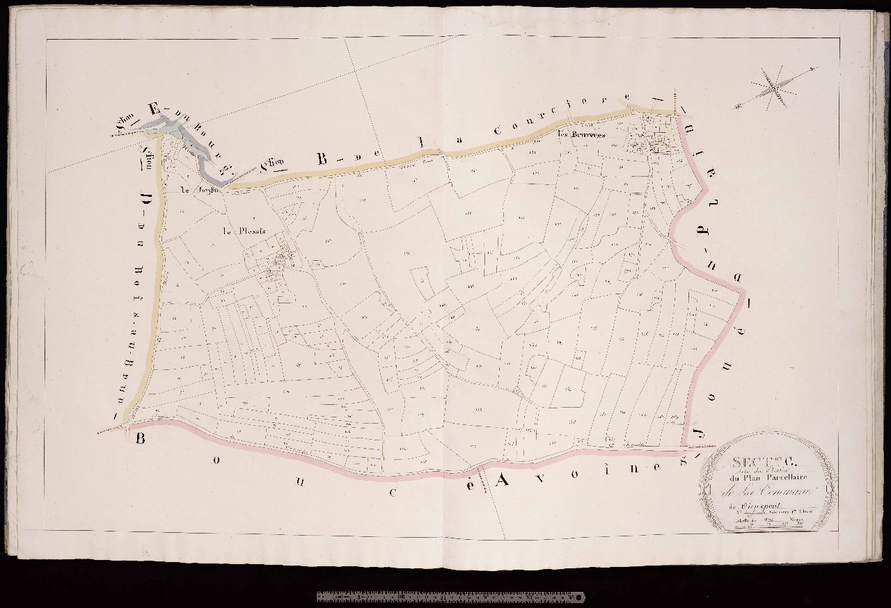 Section C