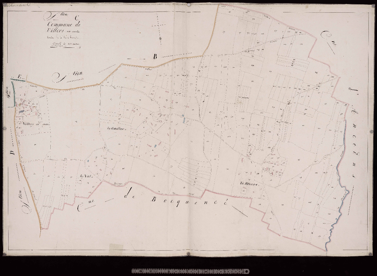 Section C