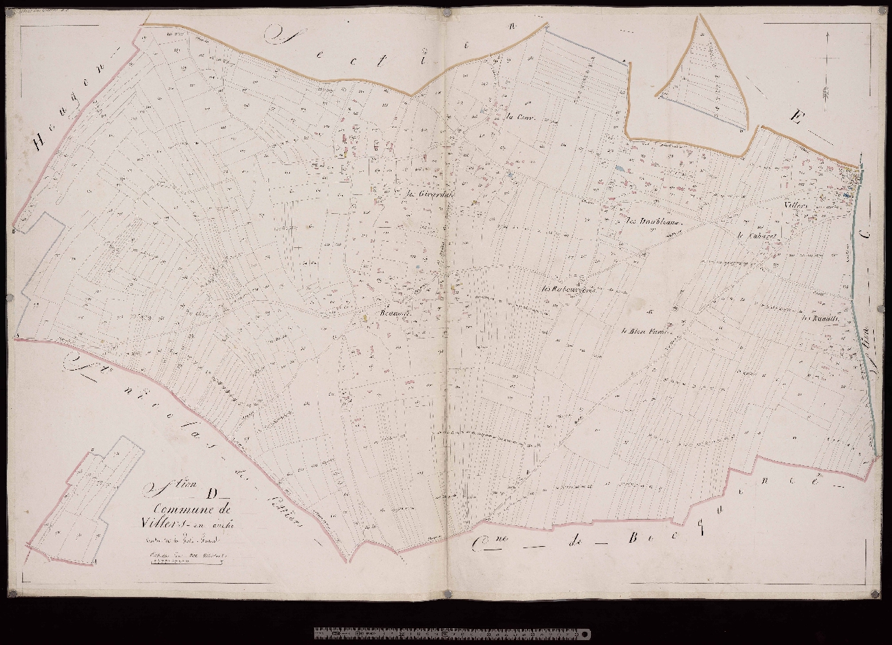 Section D