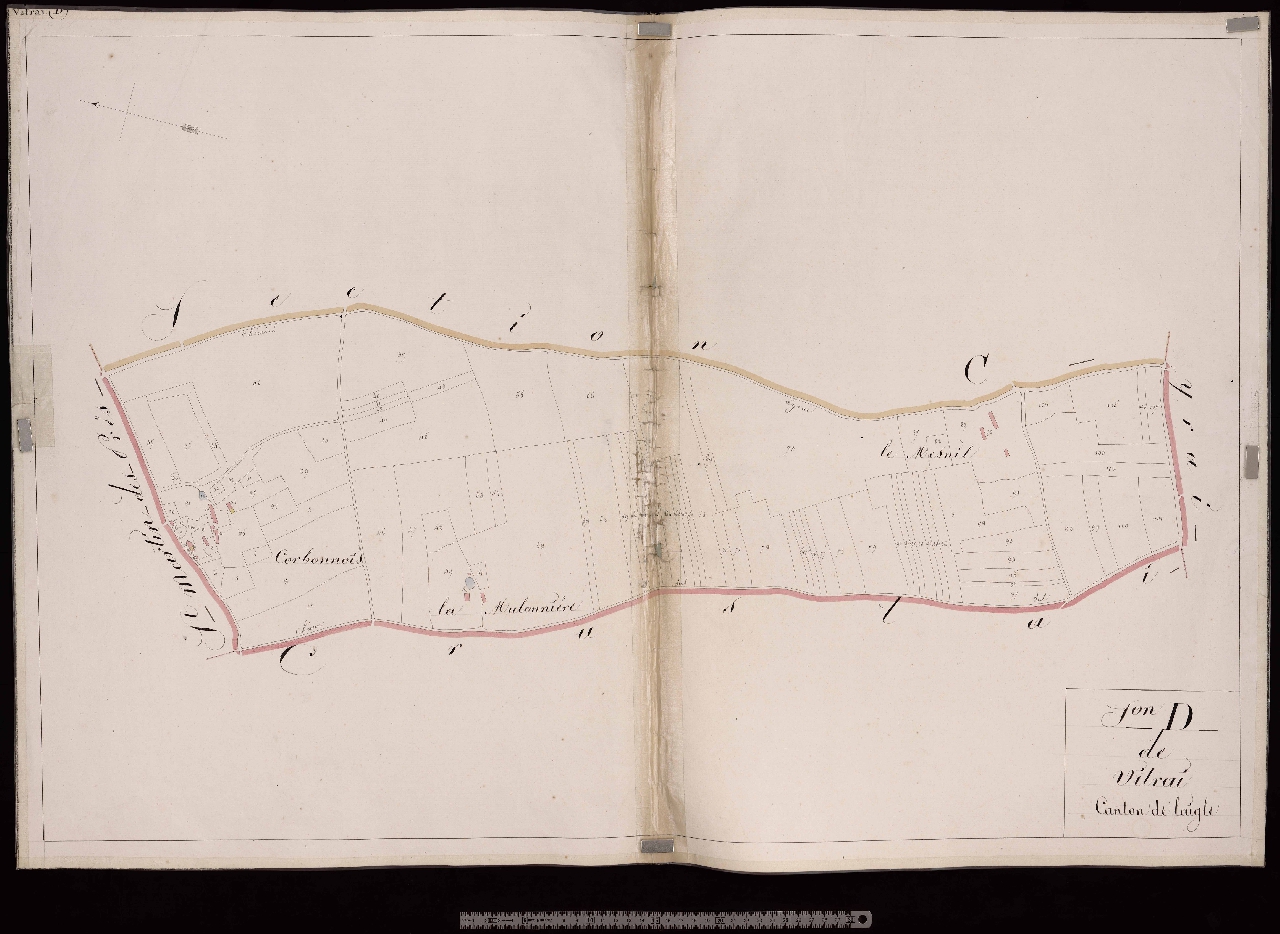 Section D