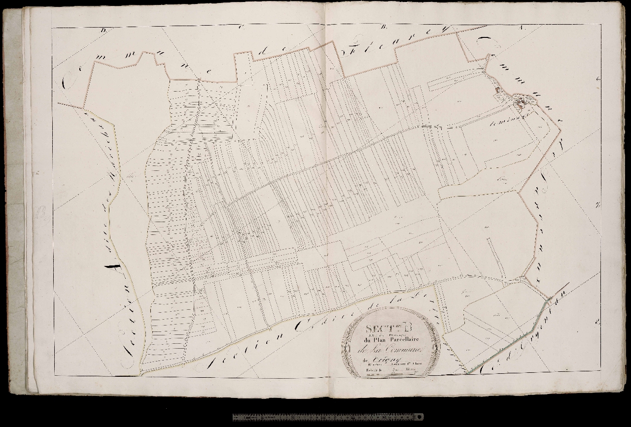Section B