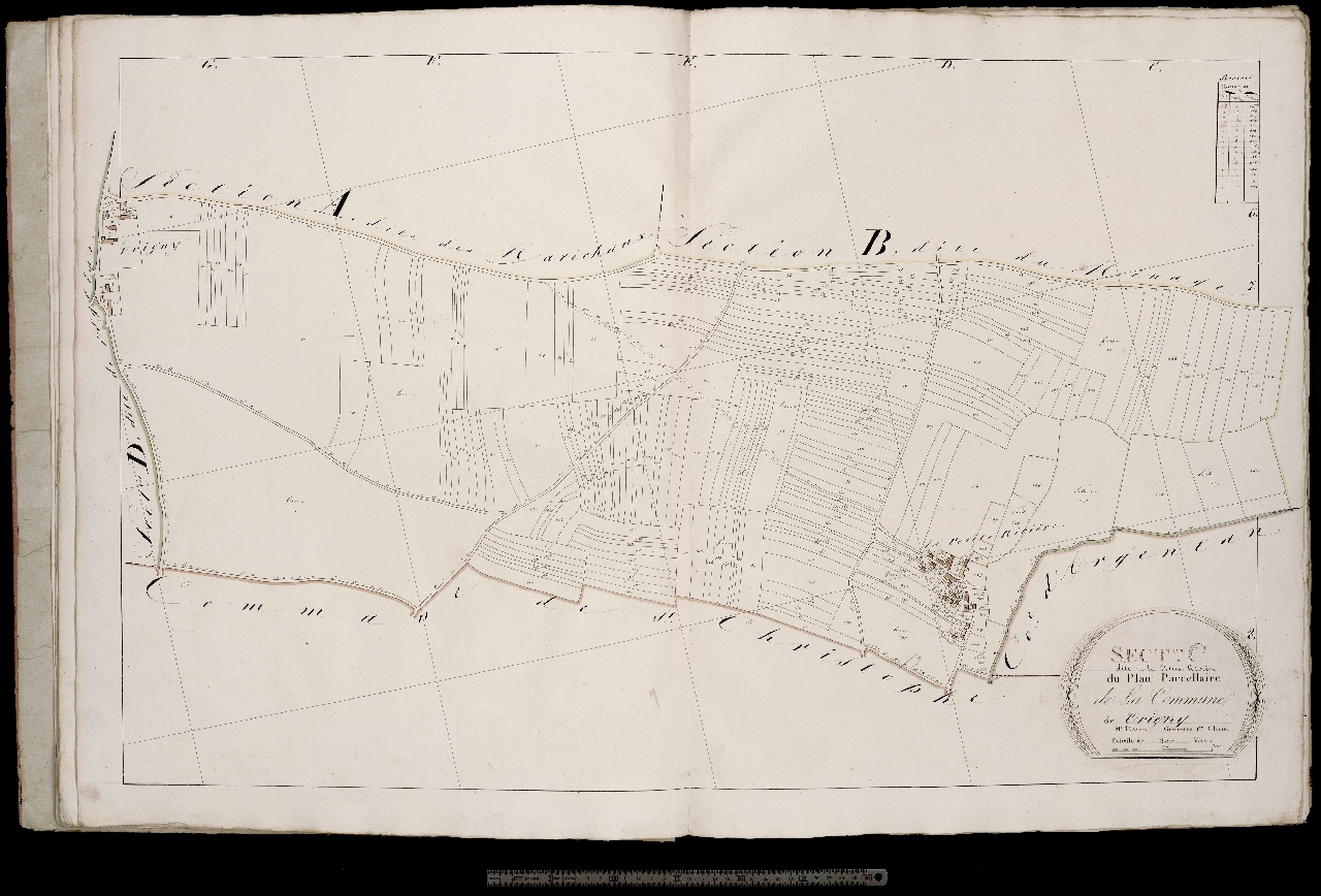 Section C
