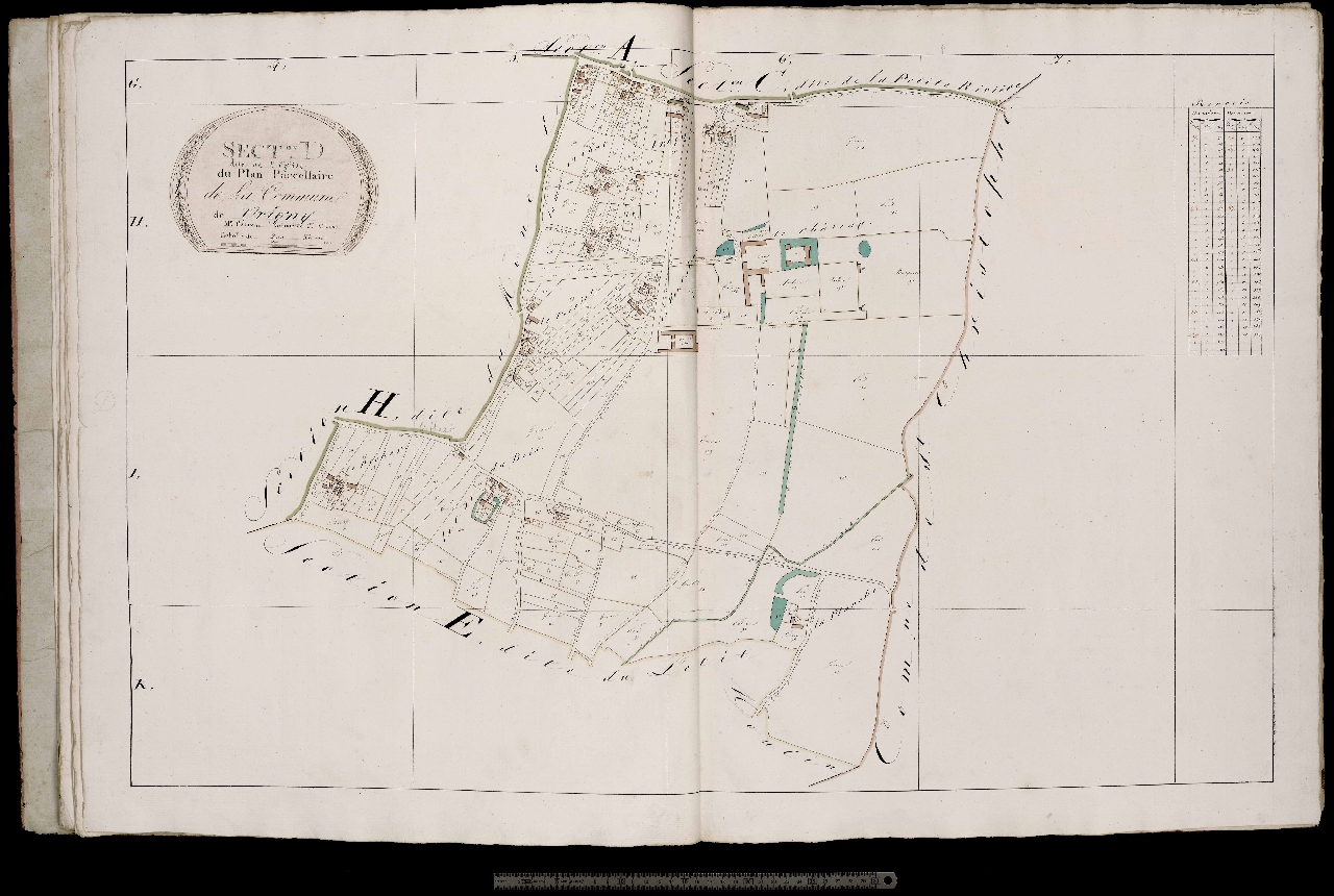 Section D