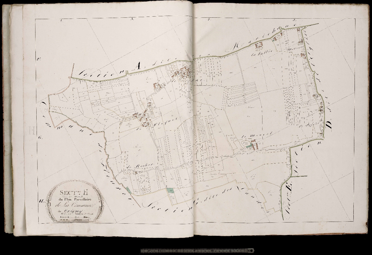 Section H