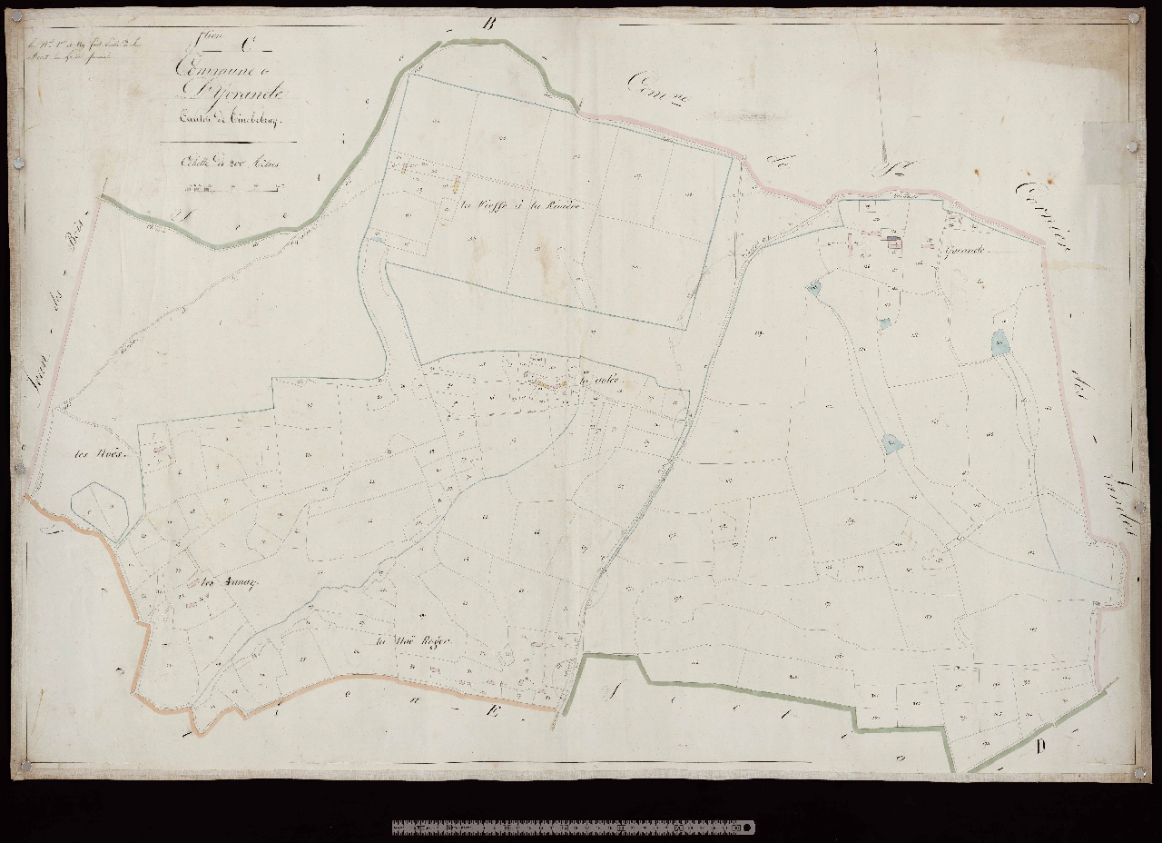 Section C