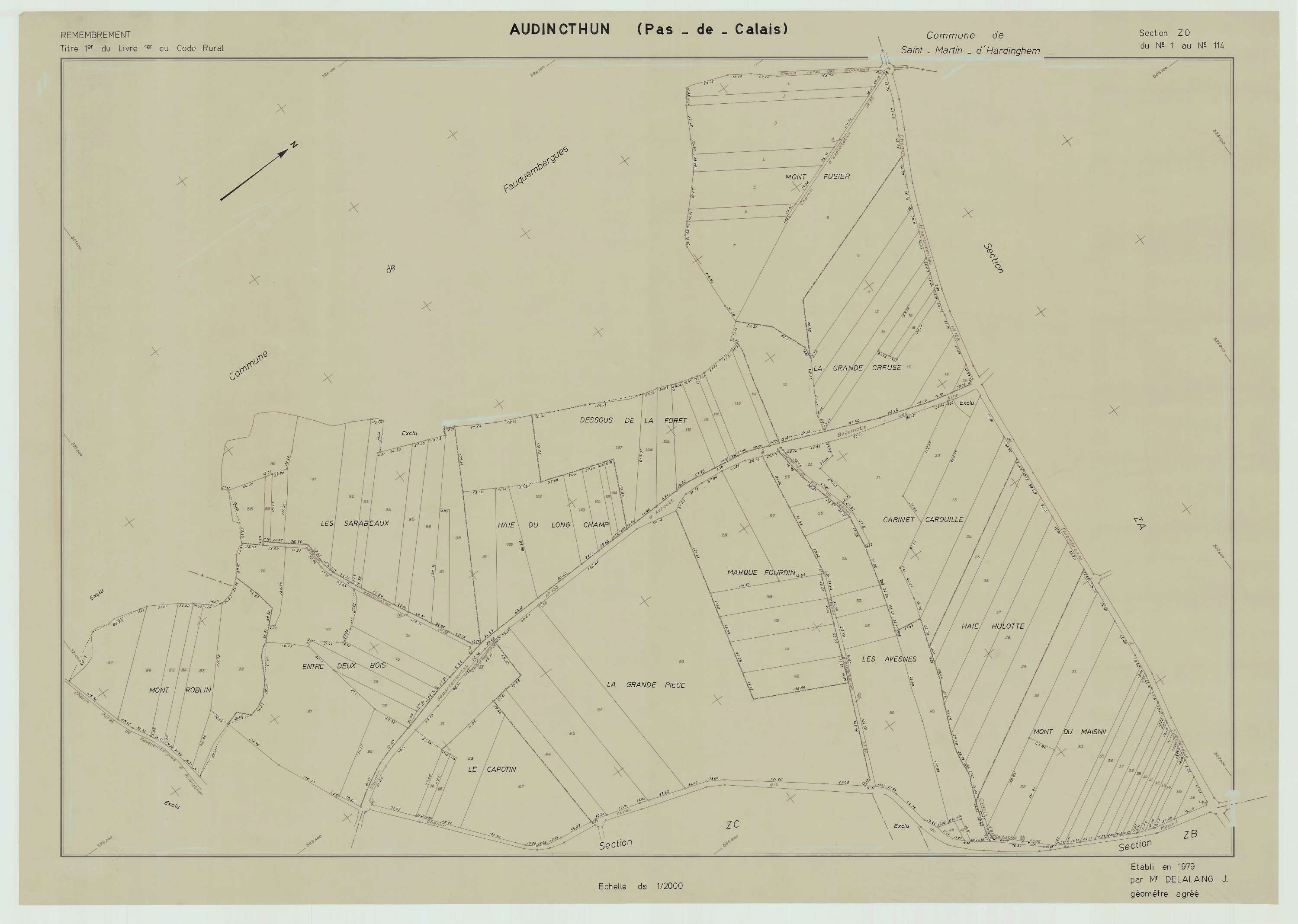 Audincthun - Plan de remembrement : section ZO.