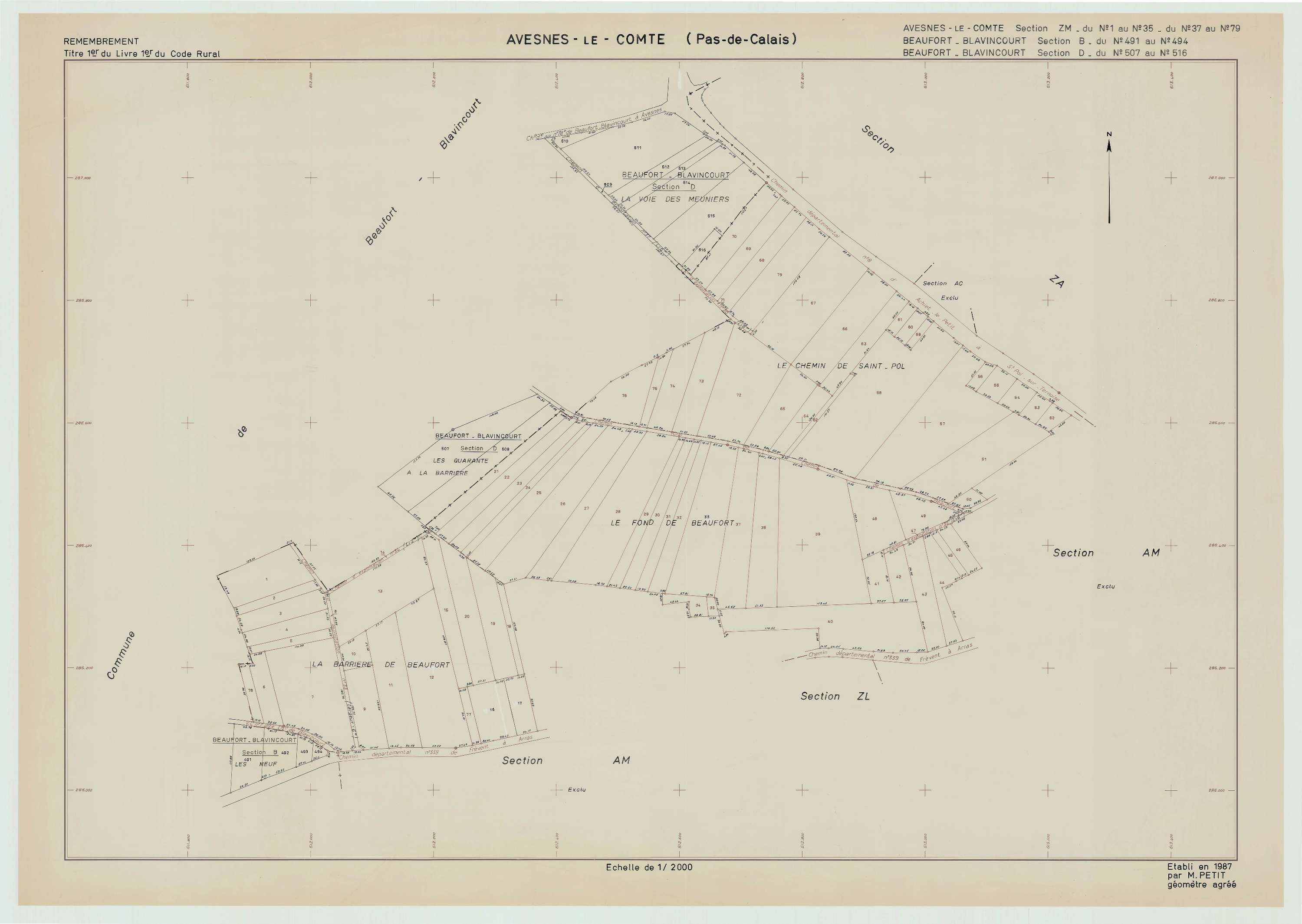 Avesnes-le-Comte - Plan de remembrement : section ZM.