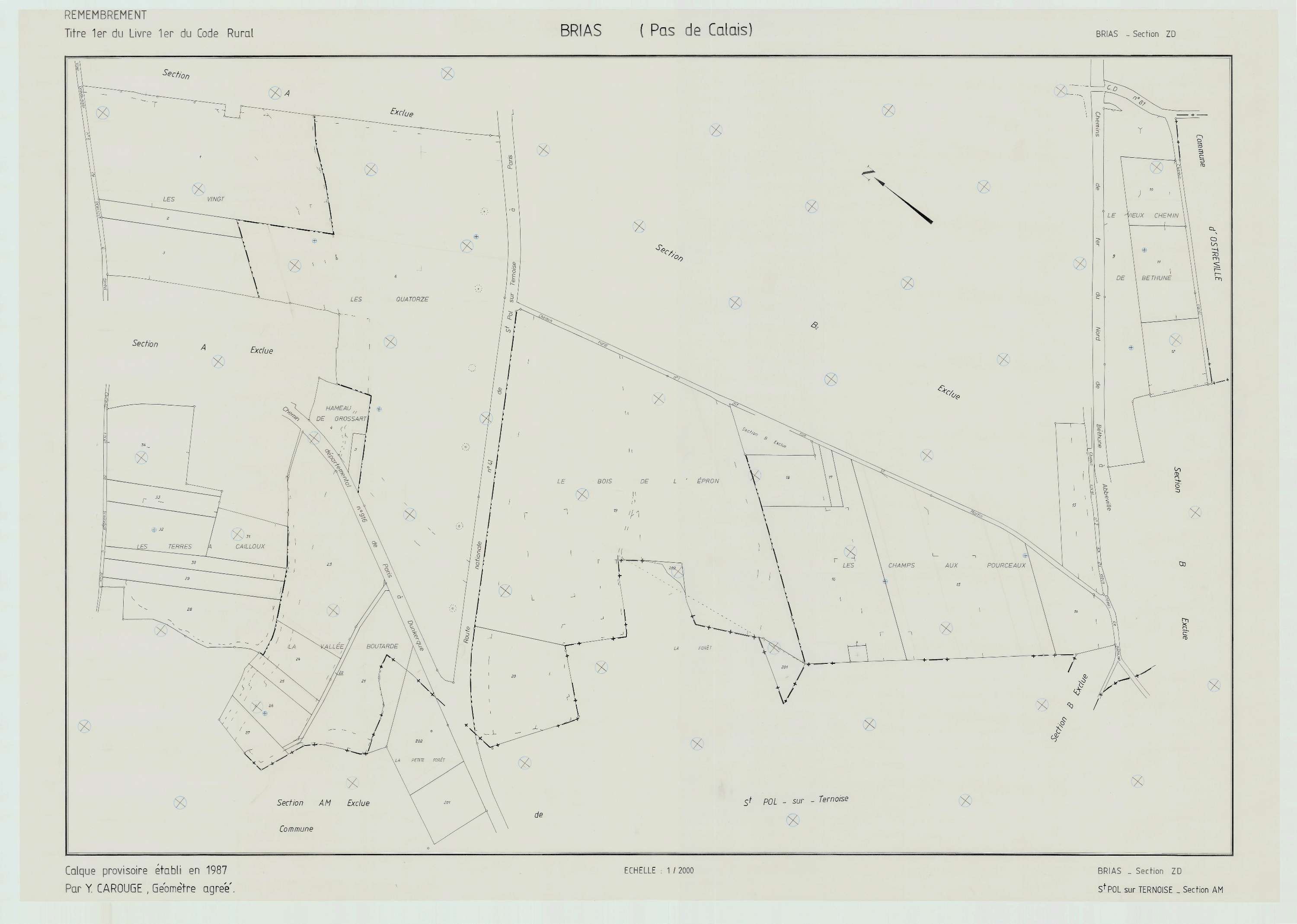 Brias - Plan de remembrement : section ZD.
