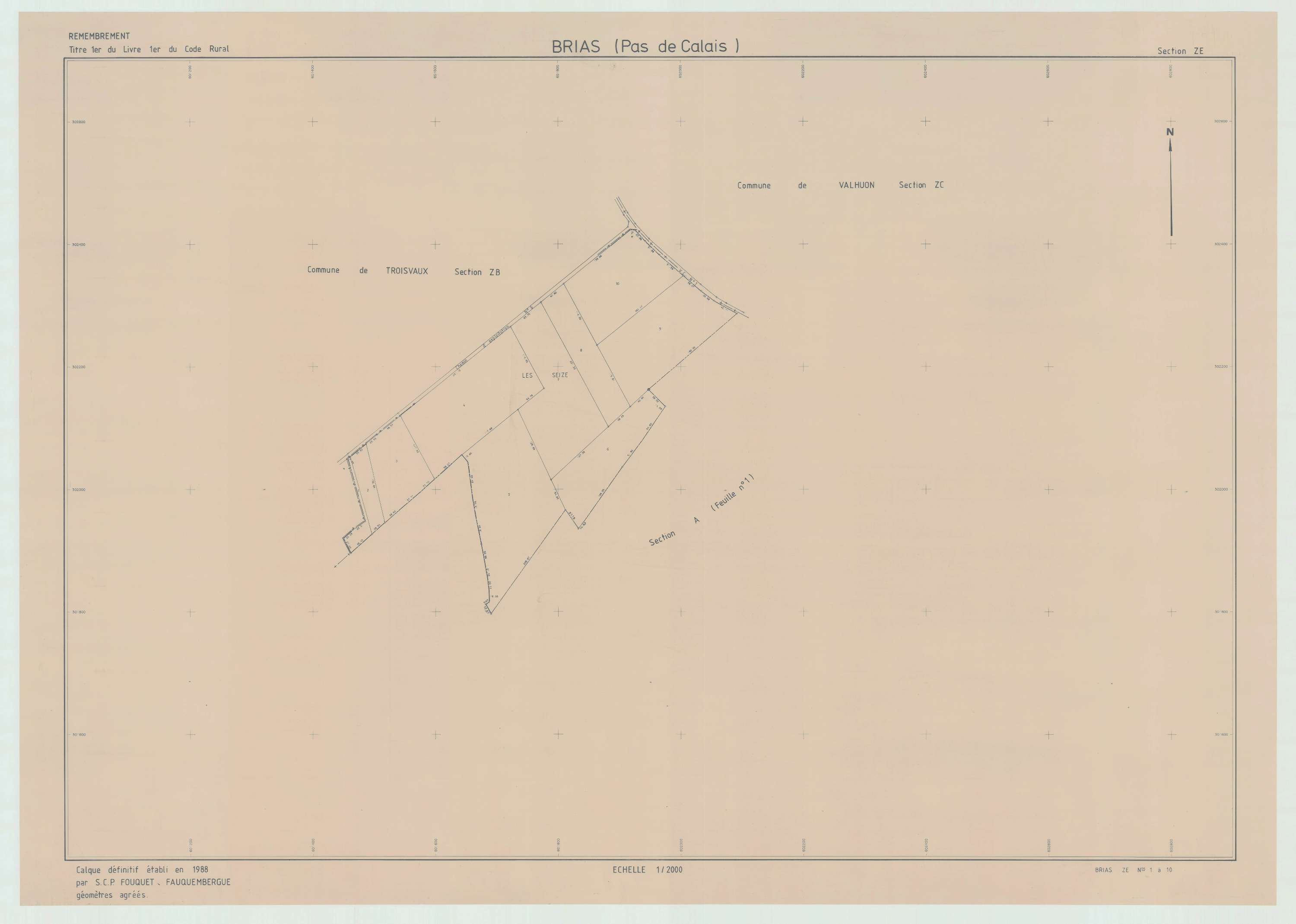 Brias - Plan de remembrement : section ZE.