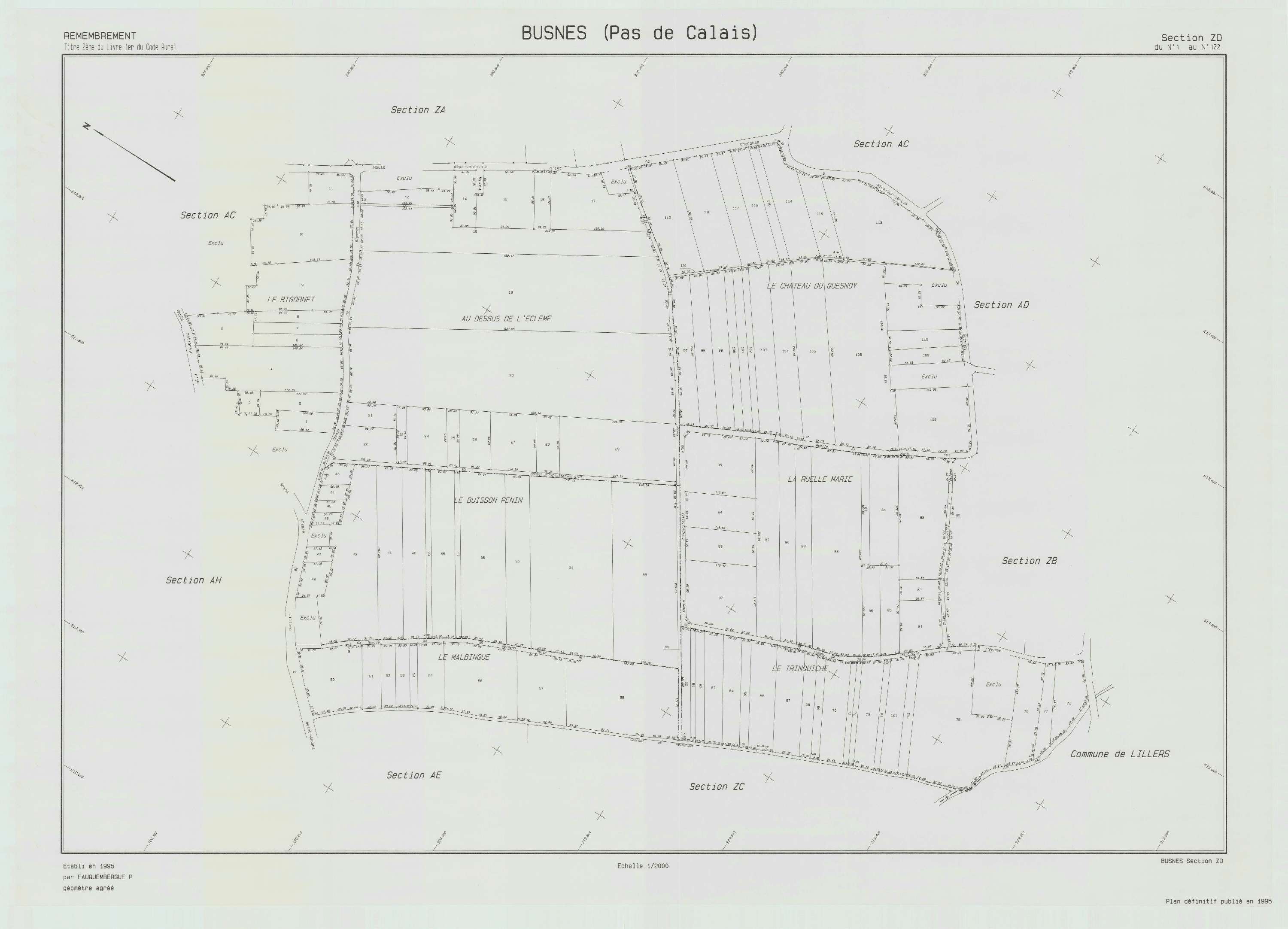 Busnes - Plan de remembrement : section ZD.