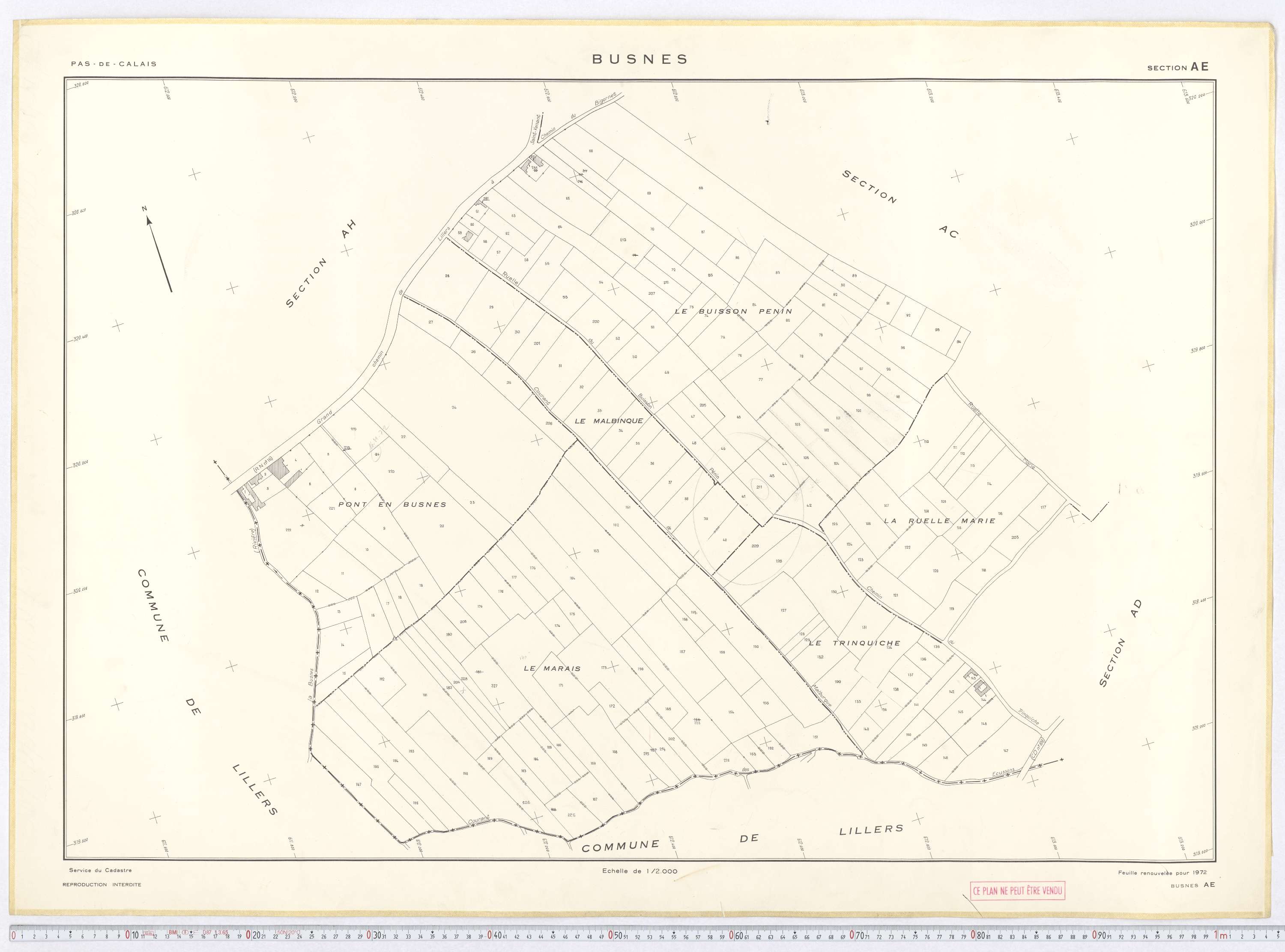 Busnes - Section AE.