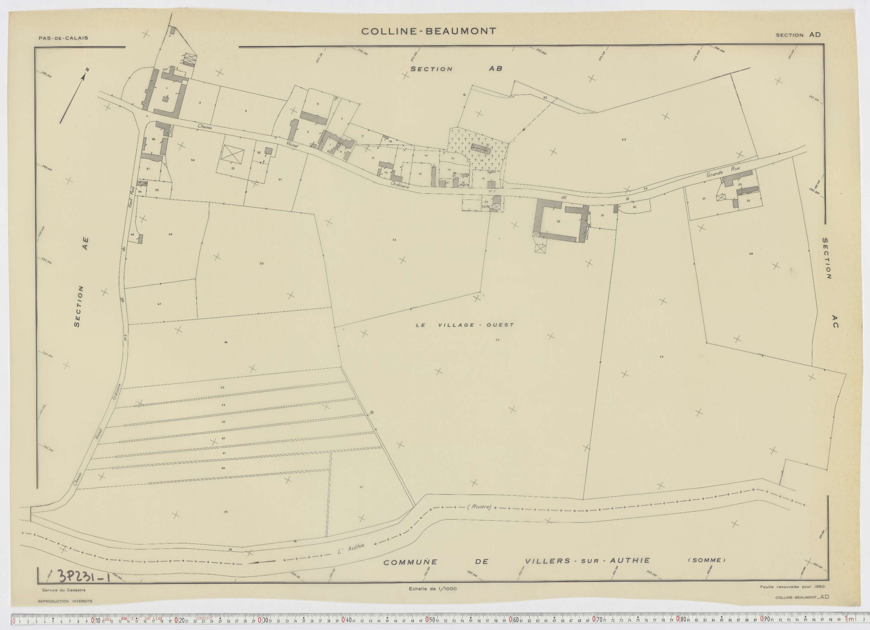Colline-Beaumont - Section AD.