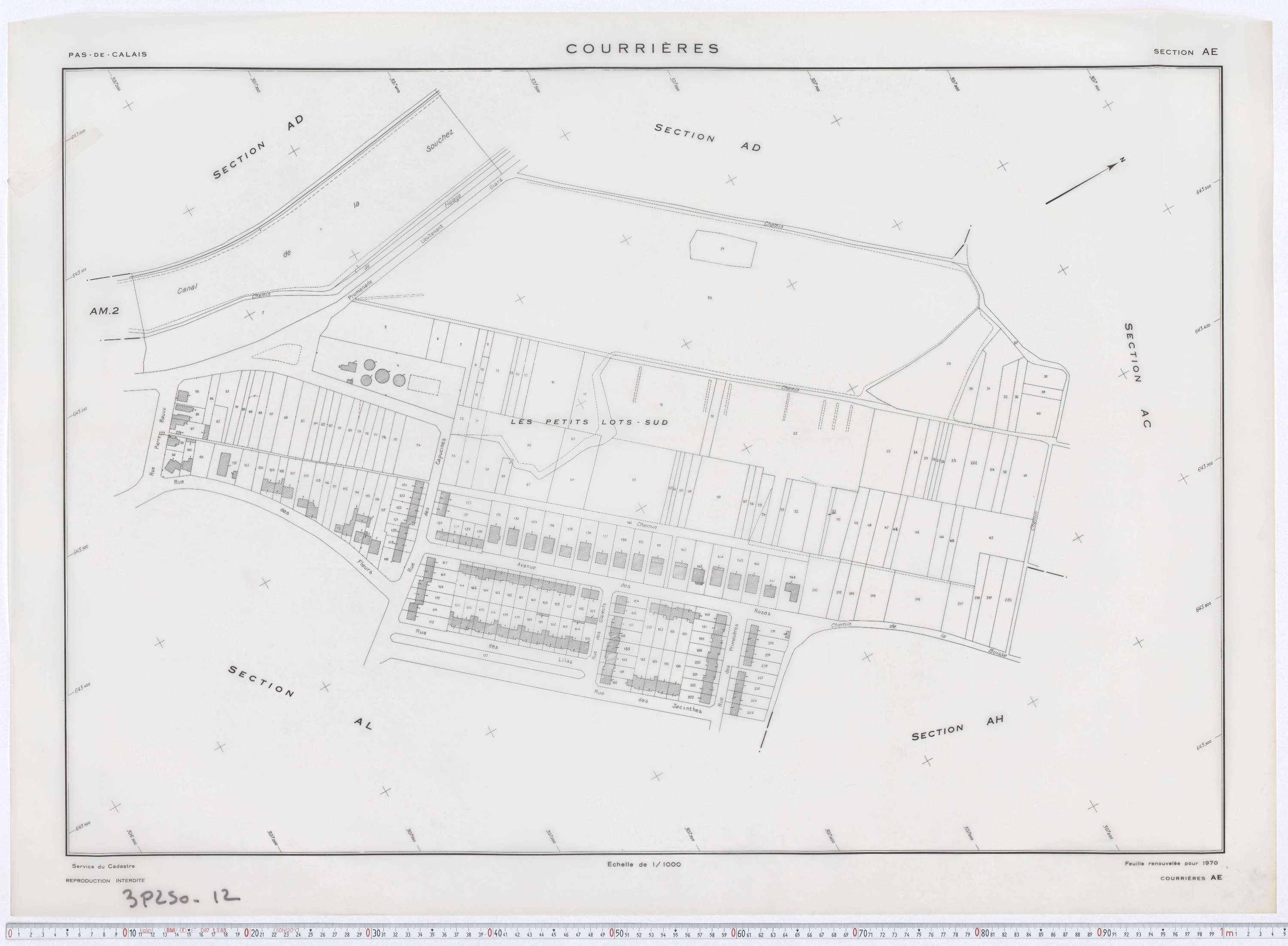 Courrières - Section AE.