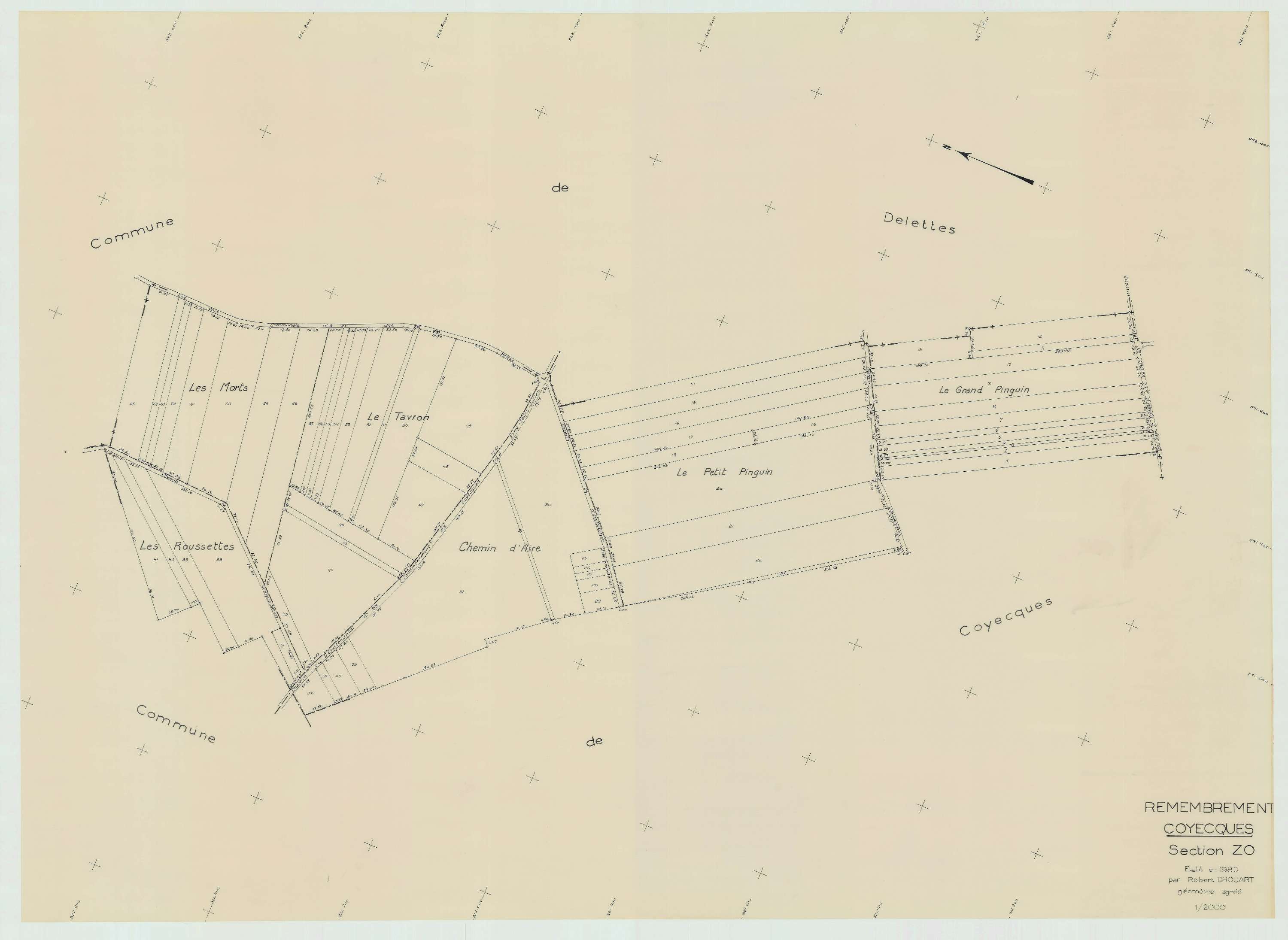 Coyecques - Plan de remembrement : section ZO.