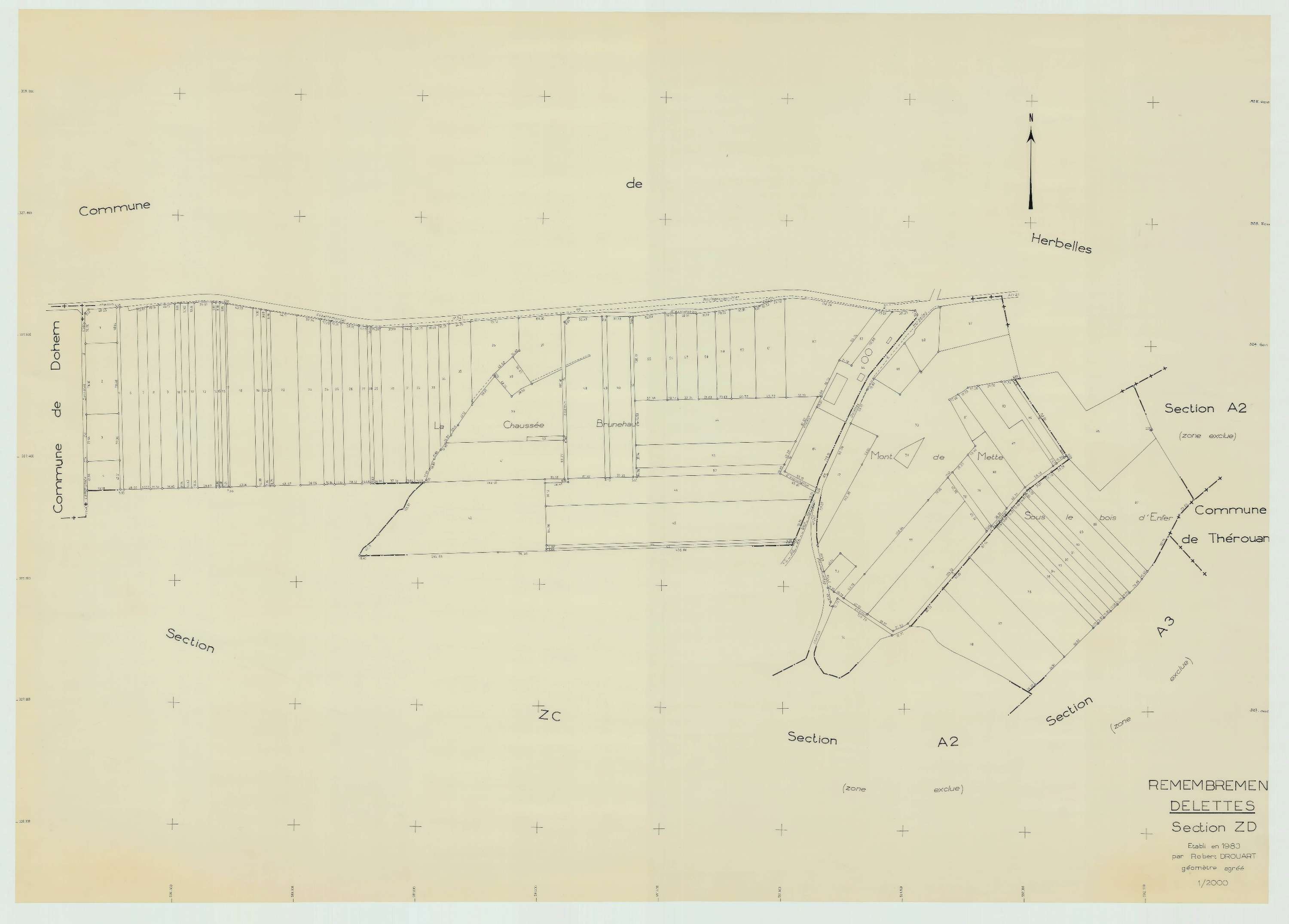Delettes - Plan de remembrement : section ZD.