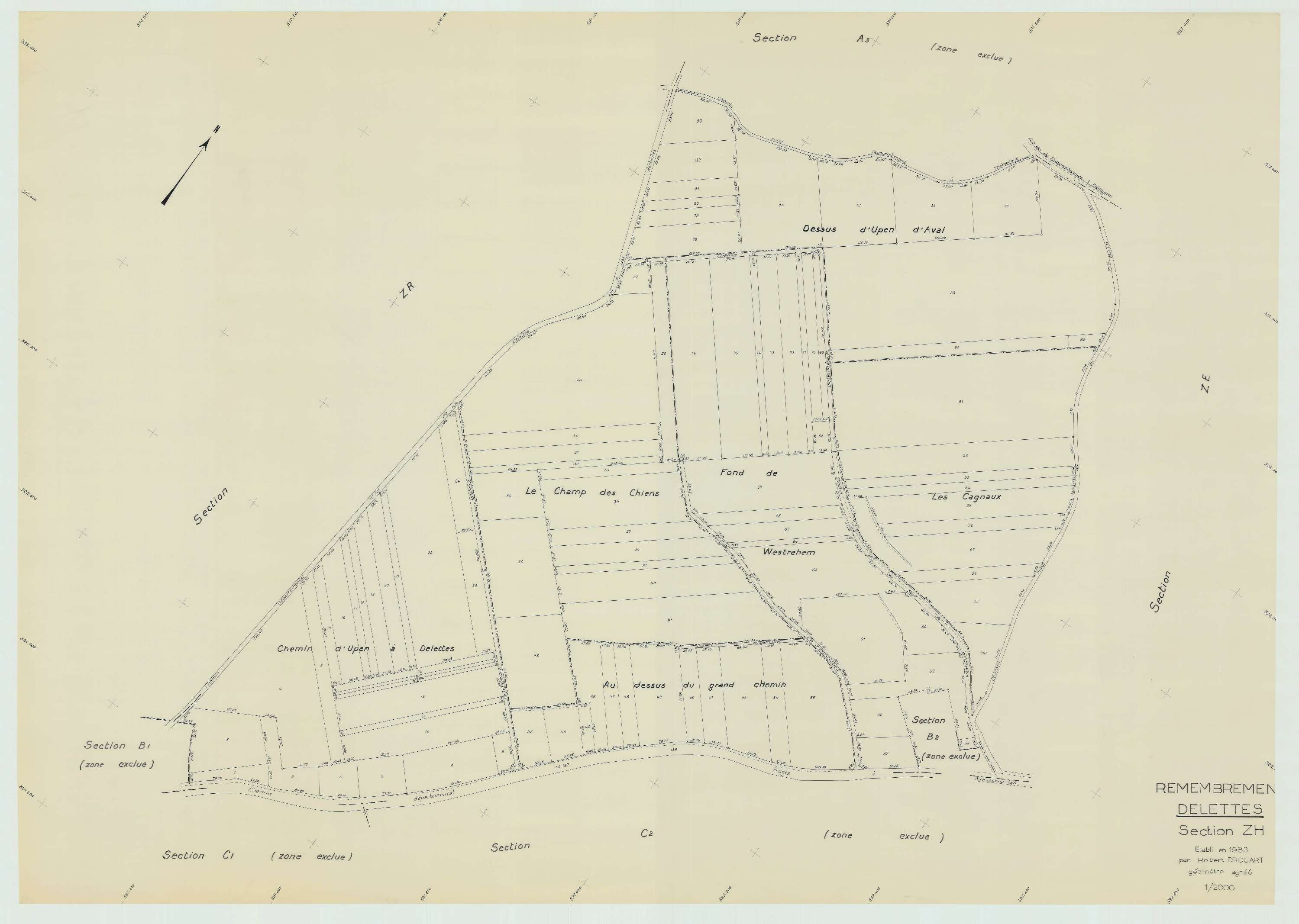 Delettes - Plan de remembrement : section ZH.