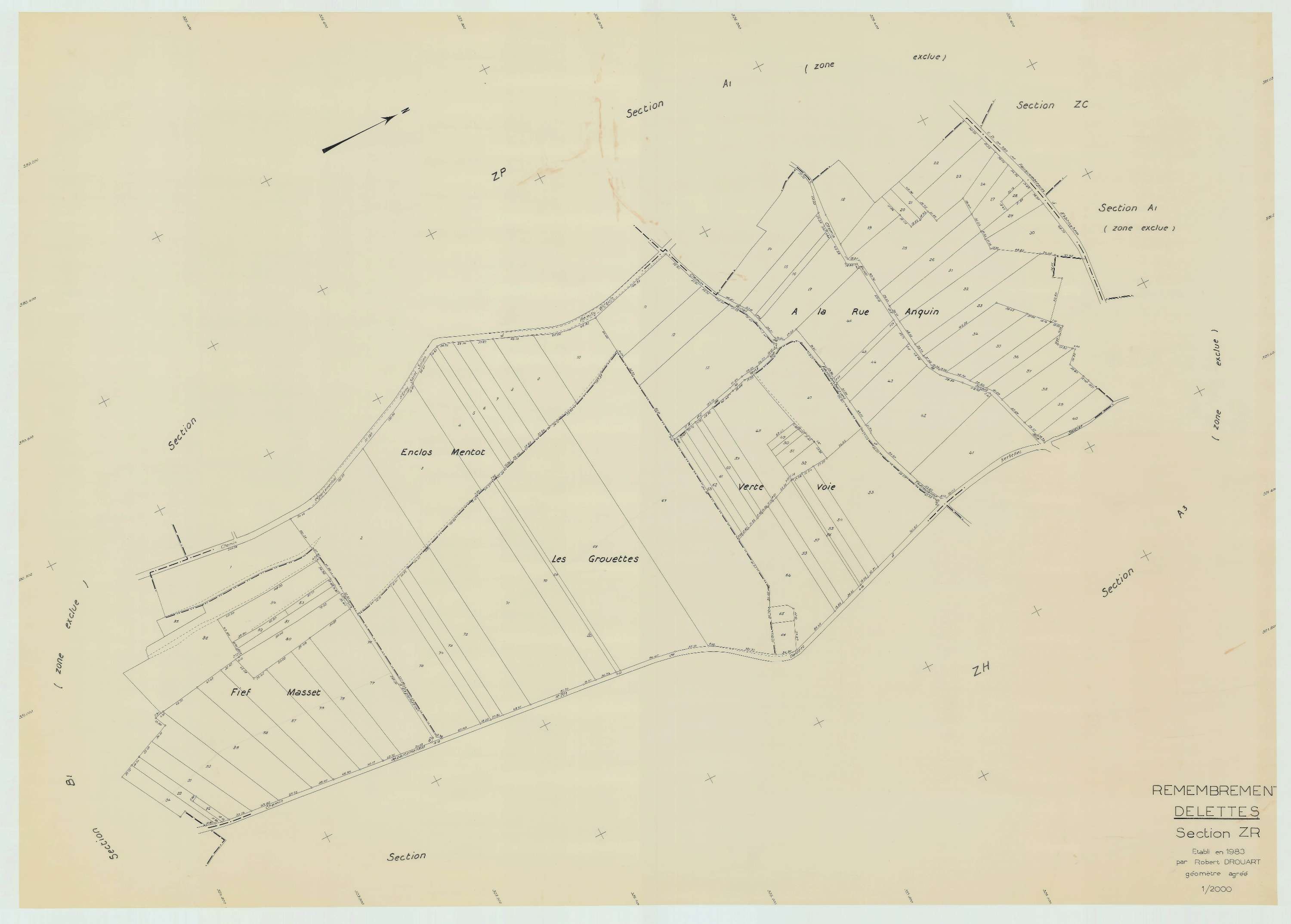 Delettes - Plan de remembrement : section ZR.