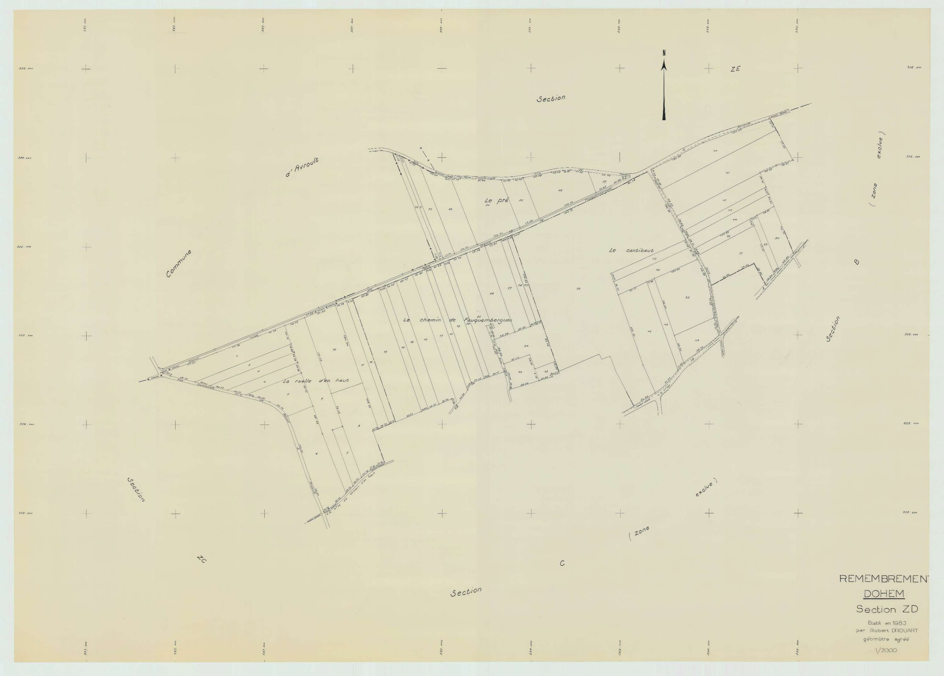 Dohem - Plan de remembrement : section ZD.