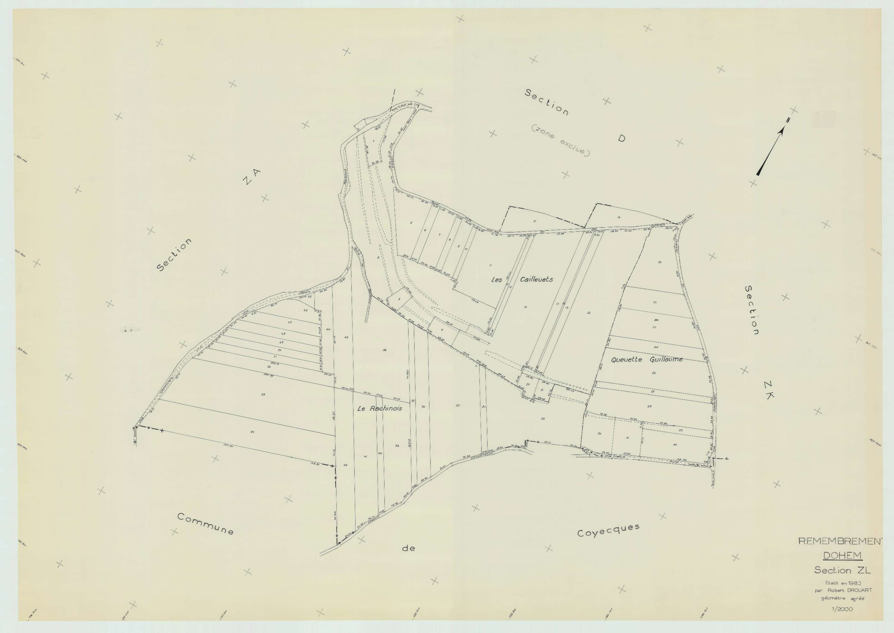 Dohem - Plan de remembrement : section ZL.
