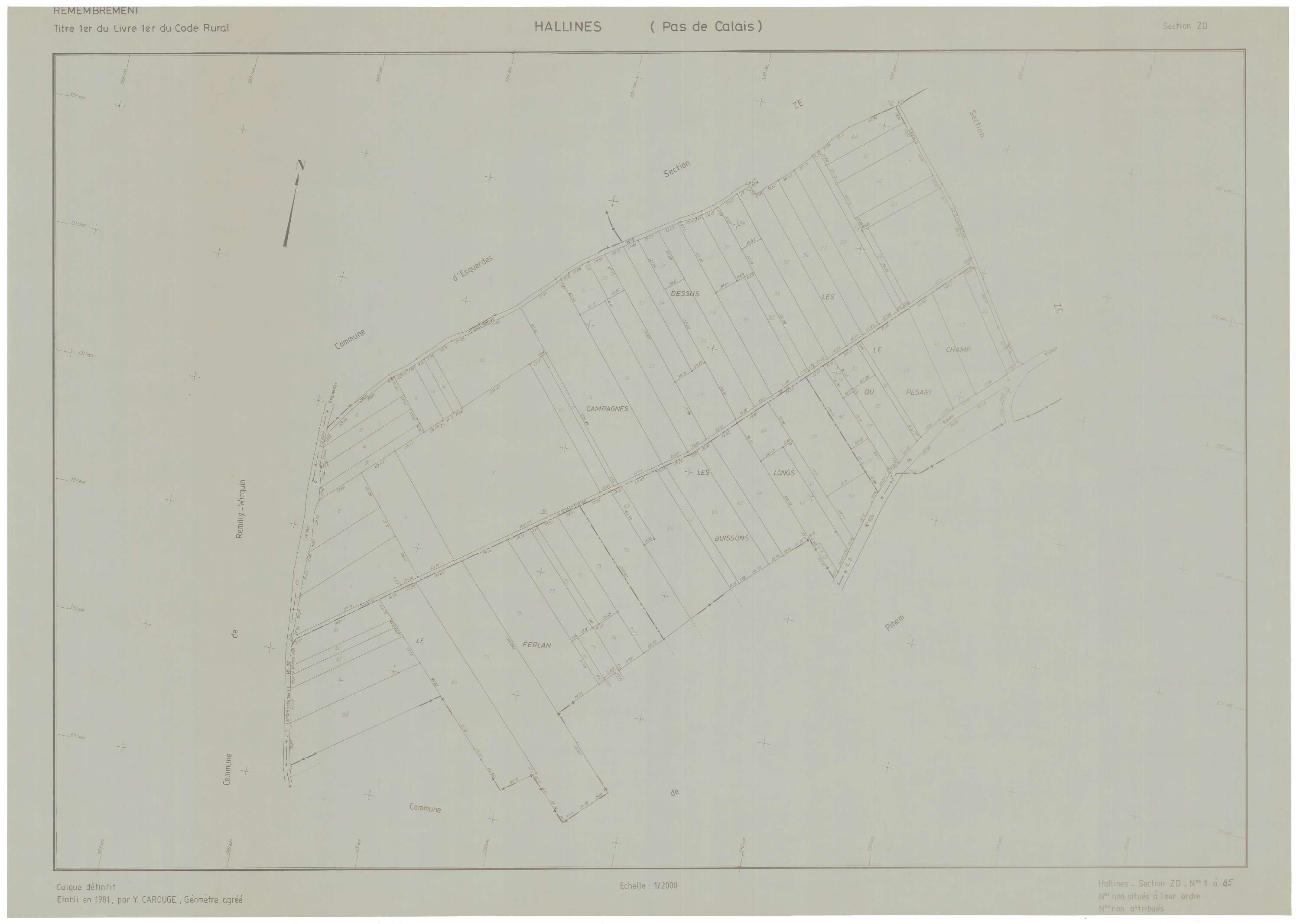 Hallines - Plan de remembrement : section ZD.