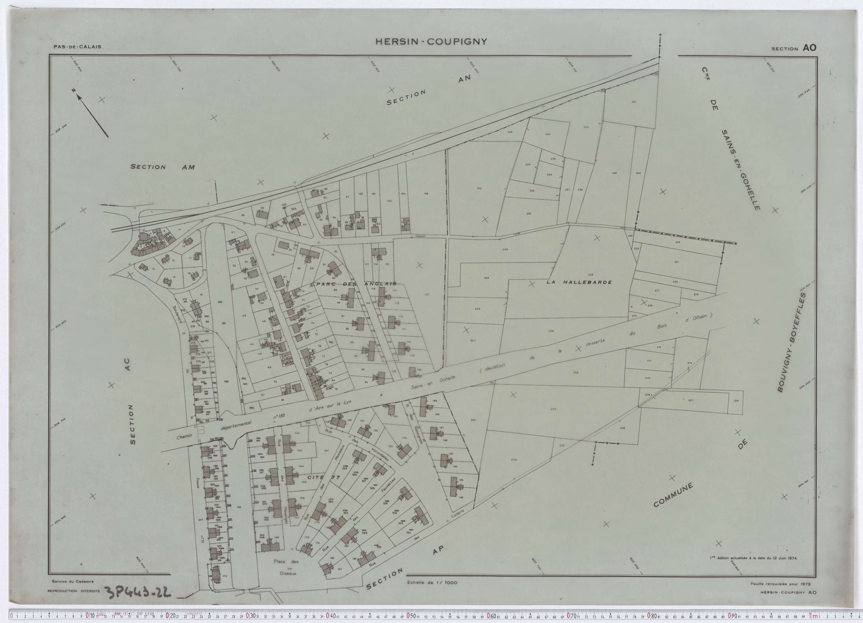 Hersin-Coupigny - Section AO.