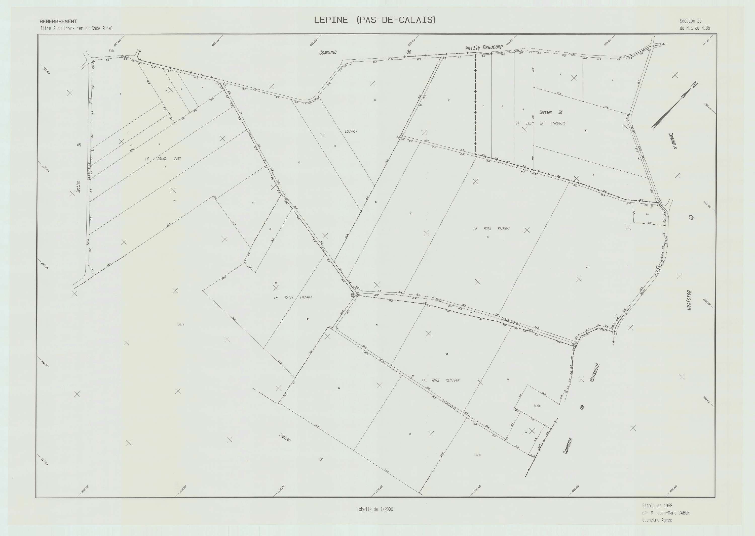 Lépine - Plan de remembrement : section ZD.