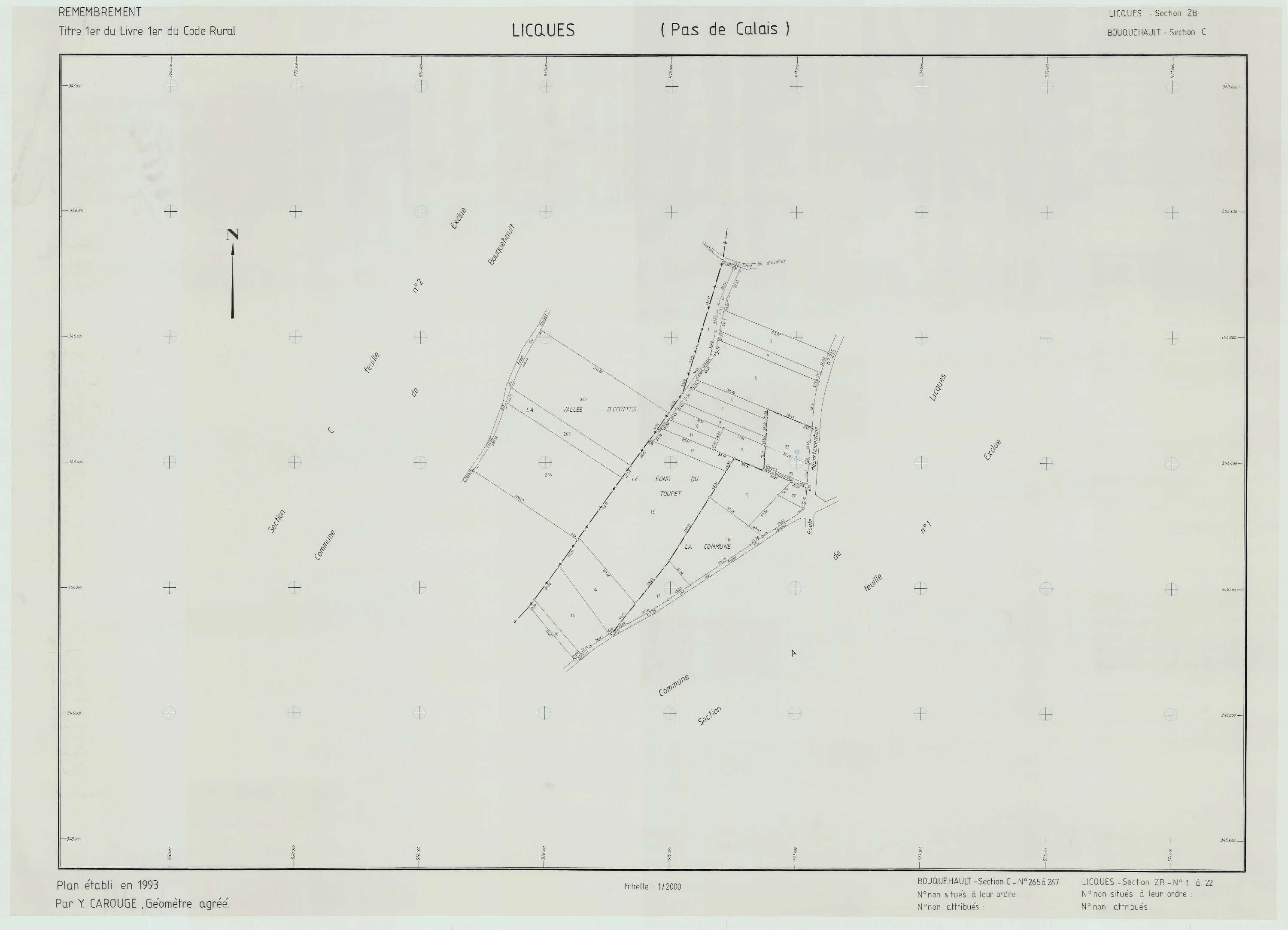 Licques - Plan de remembrement : section ZB.