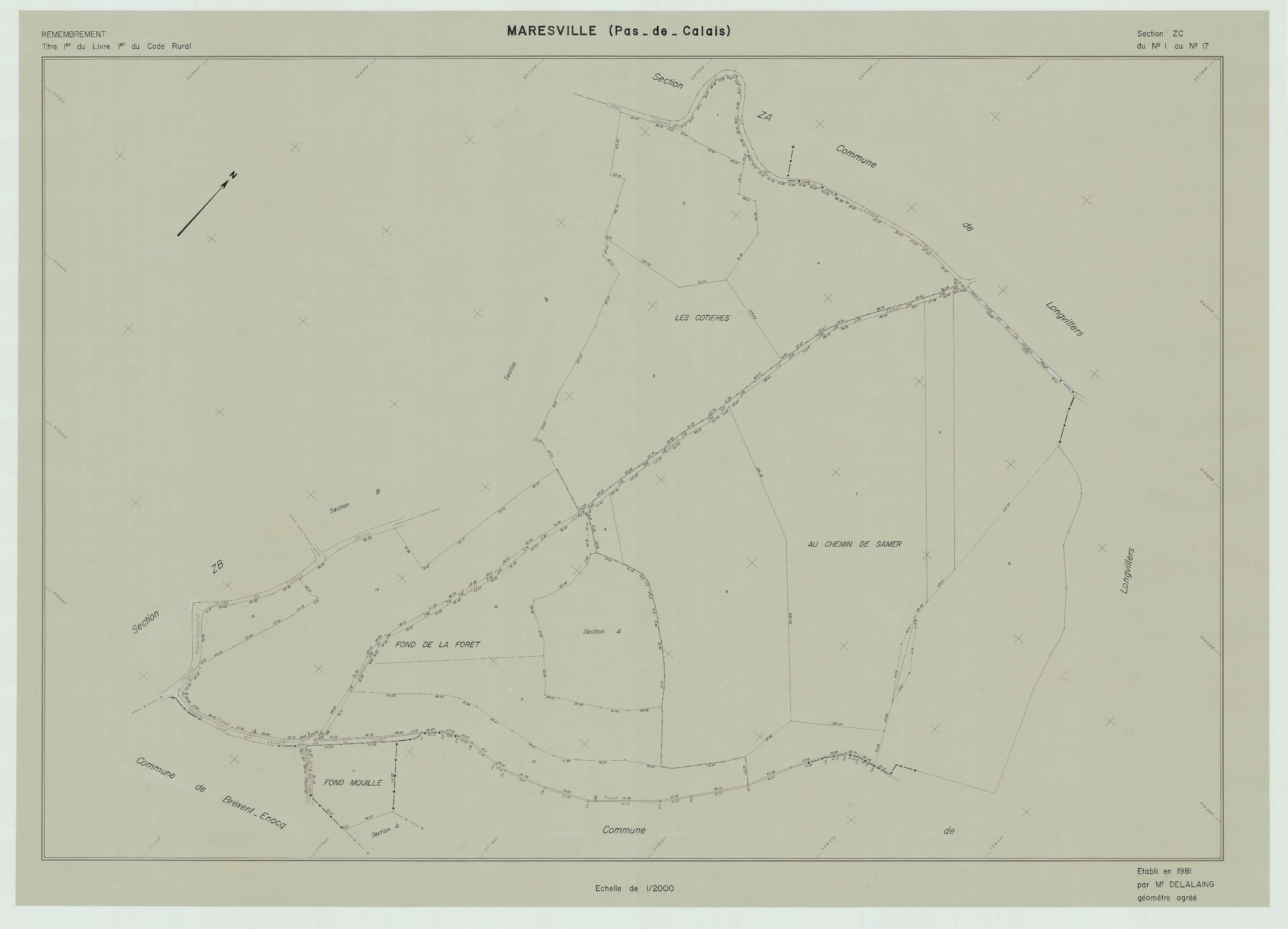 Maresville - Plan de remembrement : section ZC.