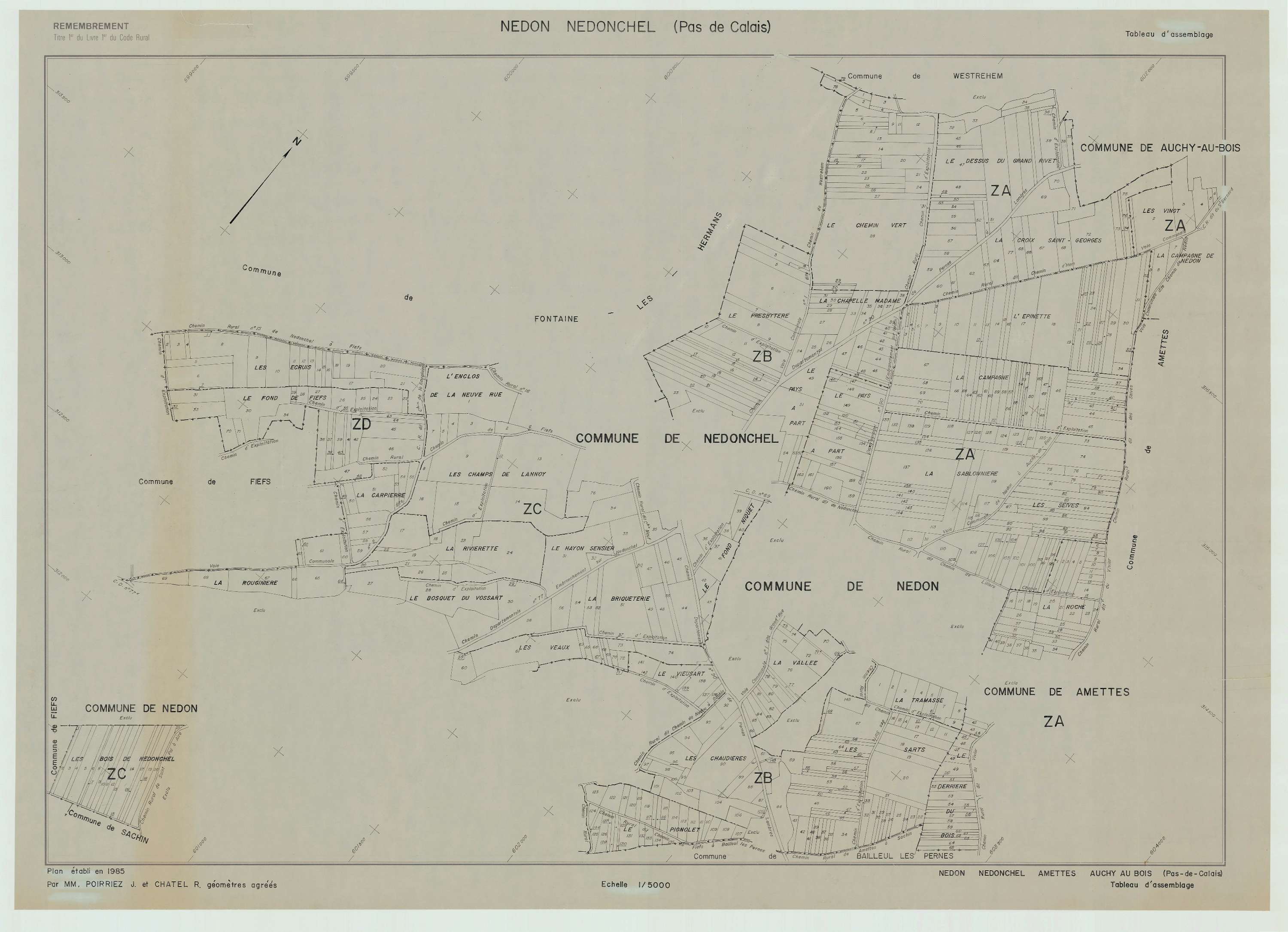 Nédon - Plan cadastral : tableau d'assemblage postérieur au remembrement.