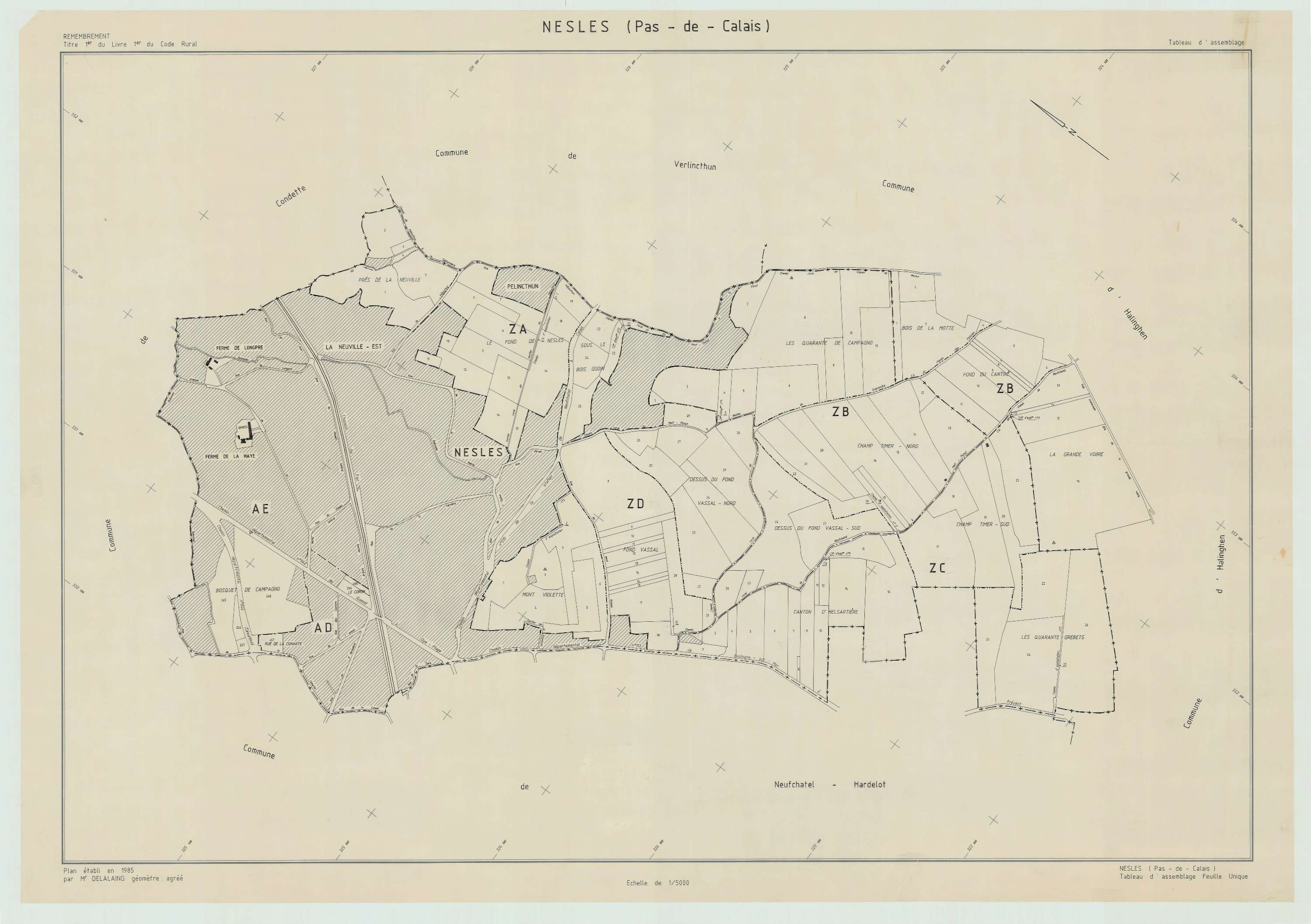 Nesles - Plan cadastral : tableau d'assemblage postérieur au remembrement.