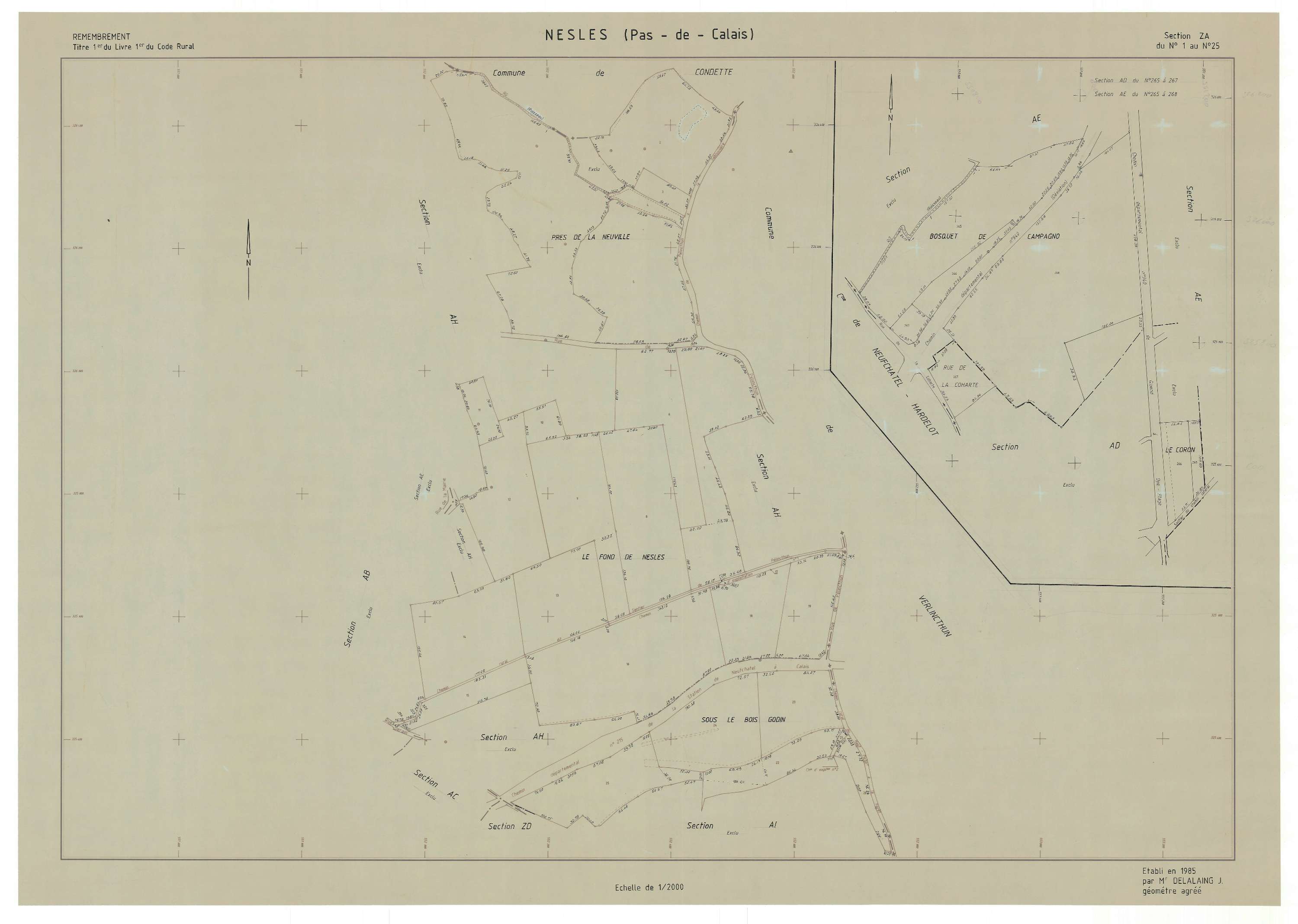 Nesles - Plan de remembrement : section ZA.