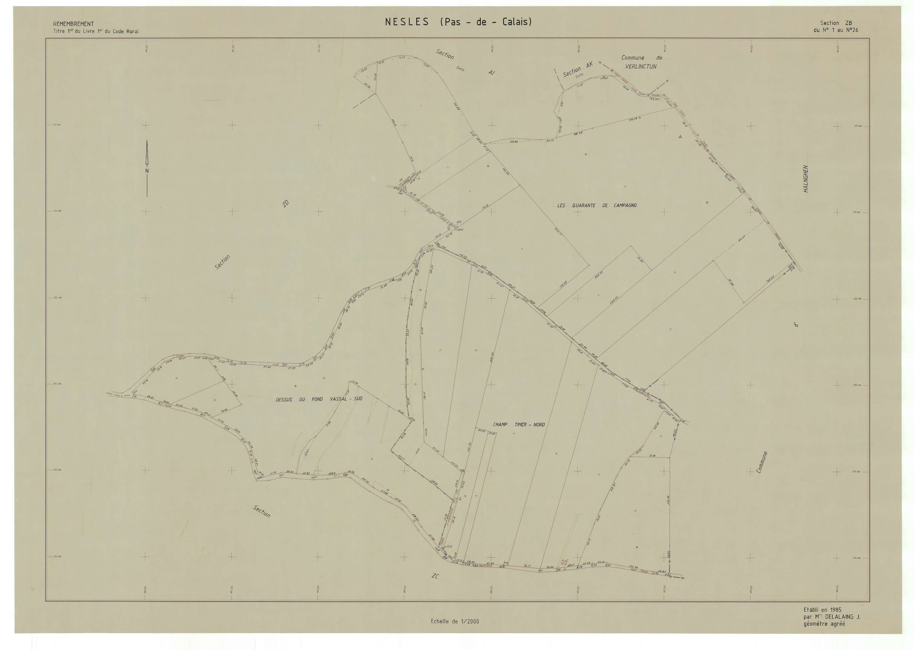 Nesles - Plan de remembrement : section ZB.