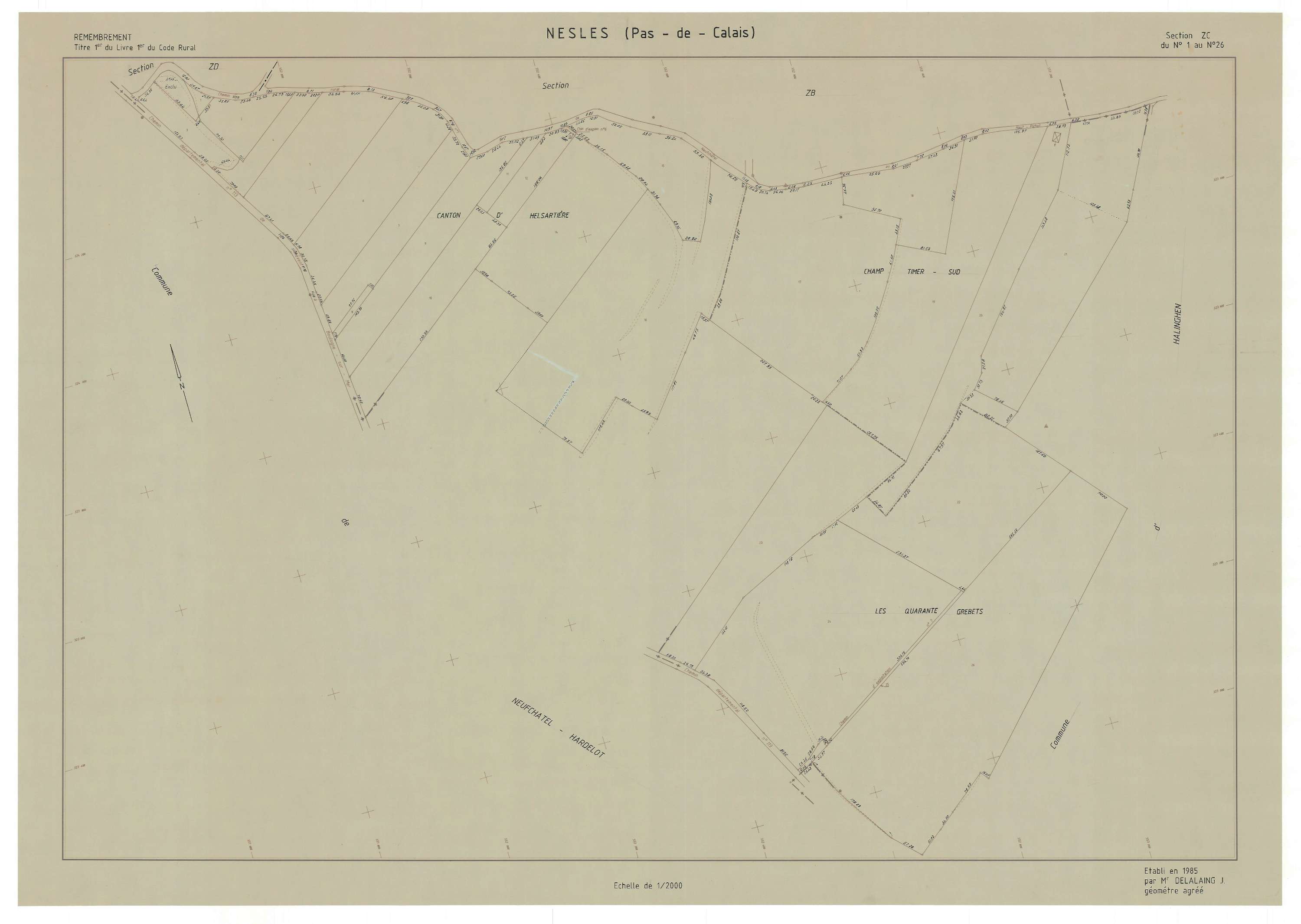 Nesles - Plan de remembrement : section ZC.