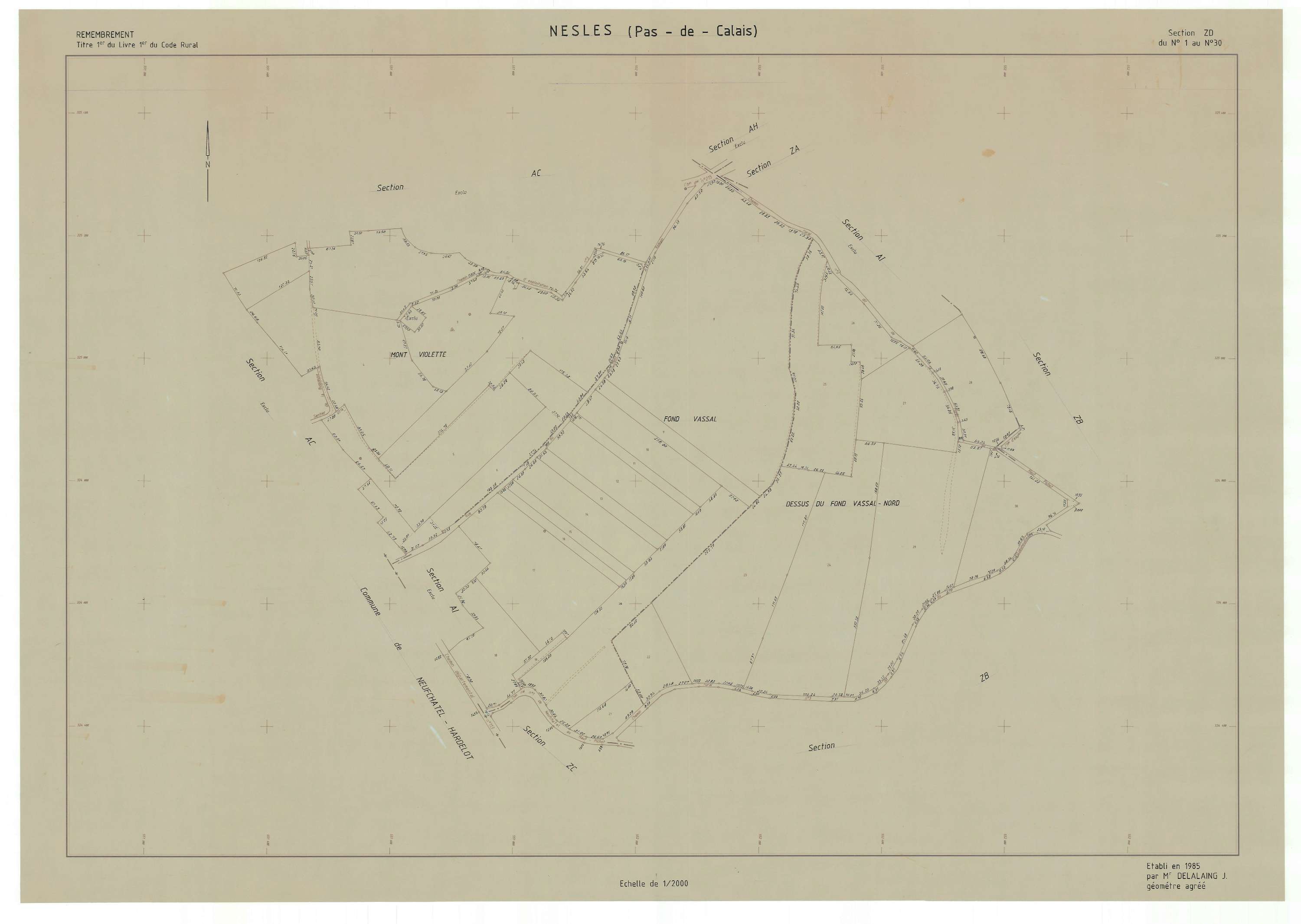 Nesles - Plan de remembrement : section ZD.